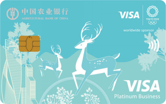 ũ��Visa�������ÿ��׽𿨣�����棩
