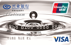 ��ҵVISA��׼˫�Ұ׽�
