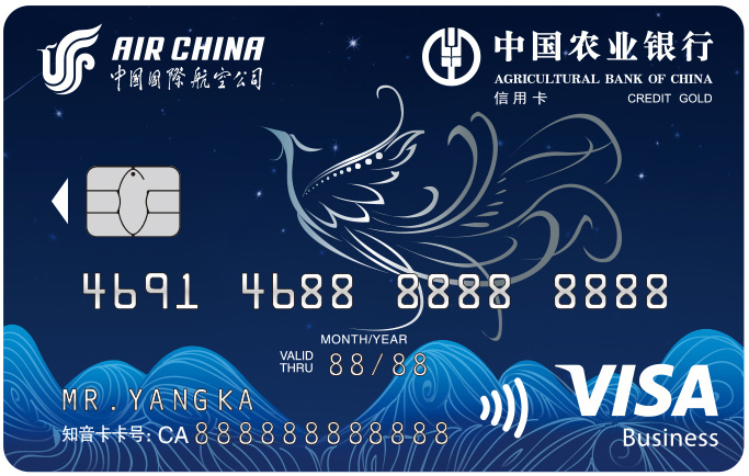 ũҵ���з��֪���������ÿ���������VISA��ϰ棩��