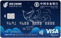 ũҵ���з��֪���������ÿ���������VISA��ϰ棩��