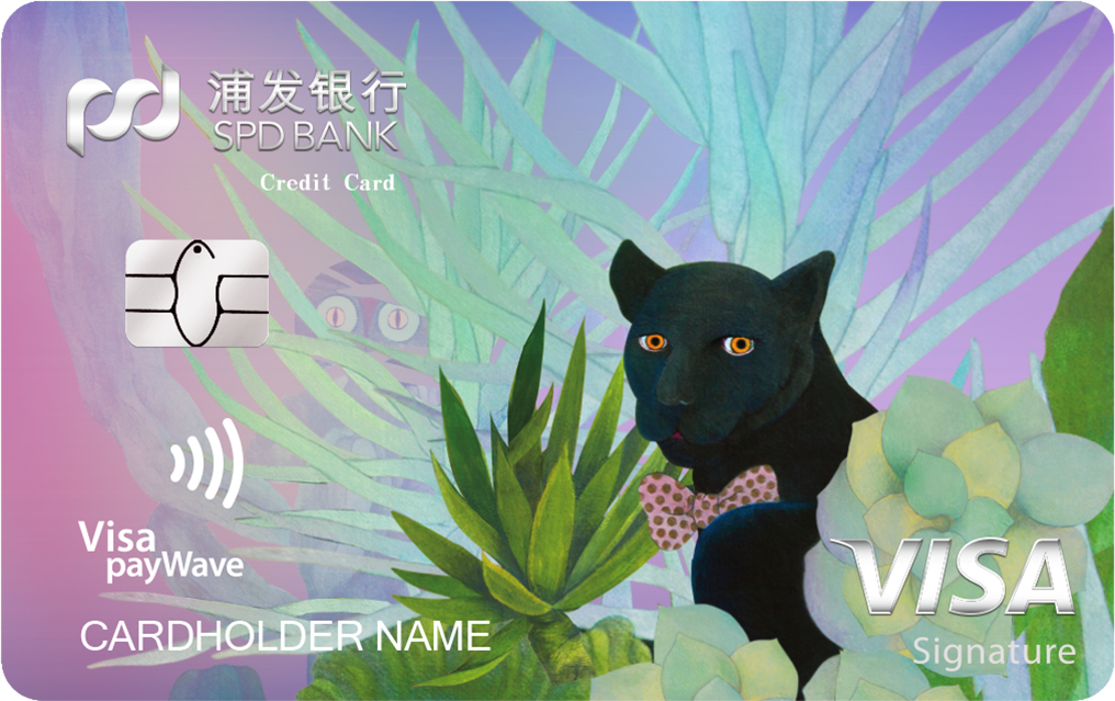 �ַ�����Visa�������ÿ�-�ڱ���