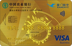 ũҵ�����ú�����VISA��