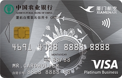 ũҵ�����ú�����VISA�׽�