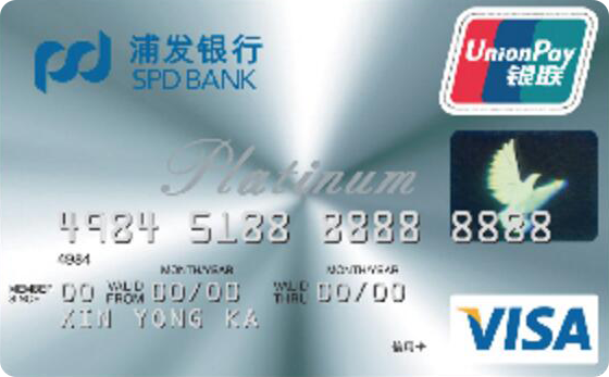 �ַ�VISA�׽����ÿ���Լ��