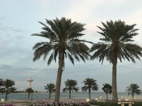 #̤�����#Hawthorn Suites�µ�ķ
