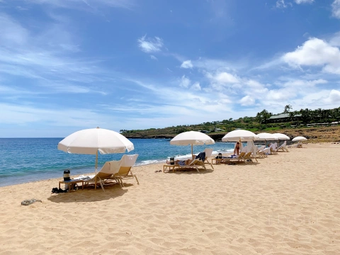 Aloha Hawaii! ����������ε��ļ�������.