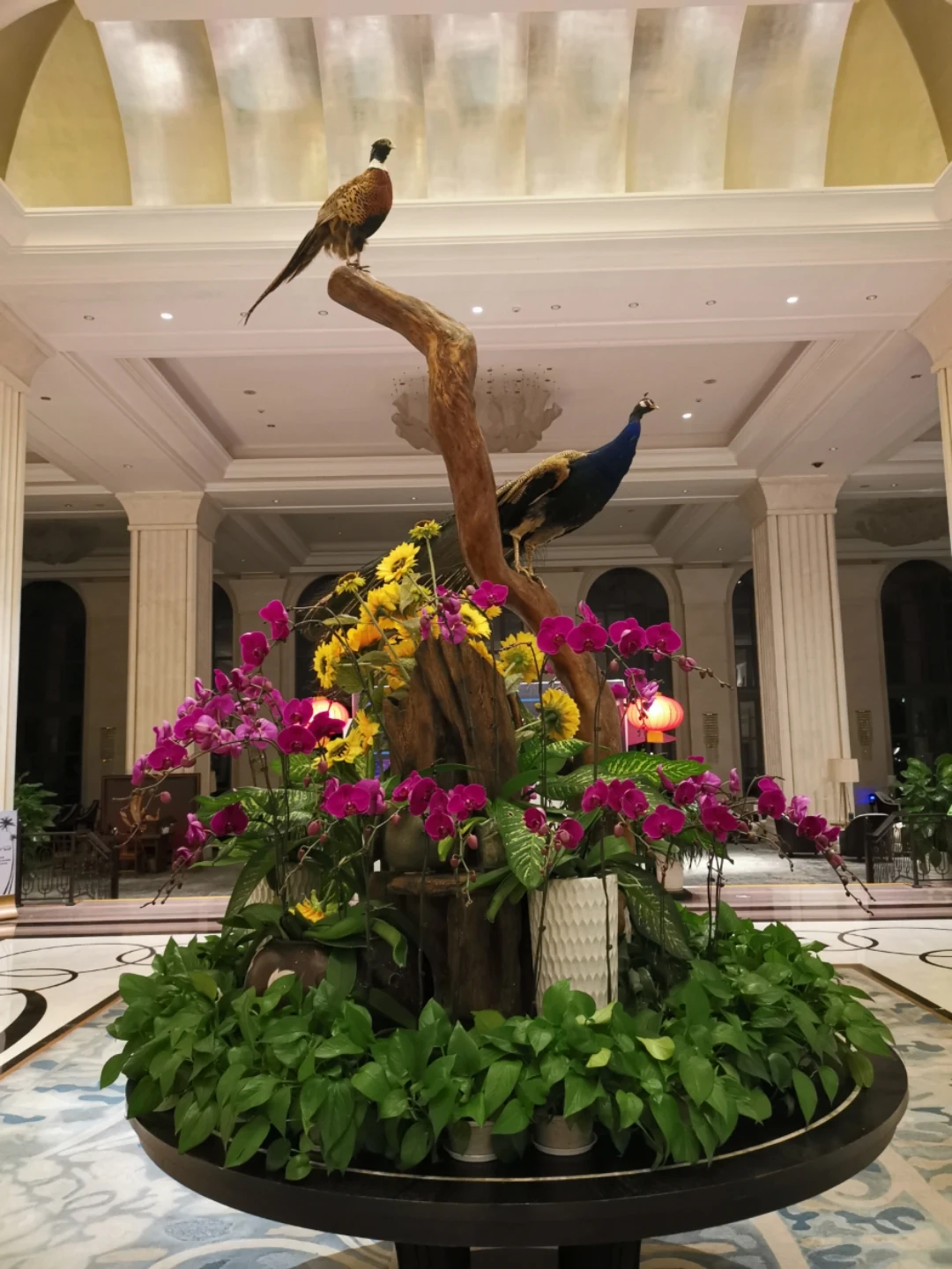 �Ҵ����꣬��æ������������³��ϣ����