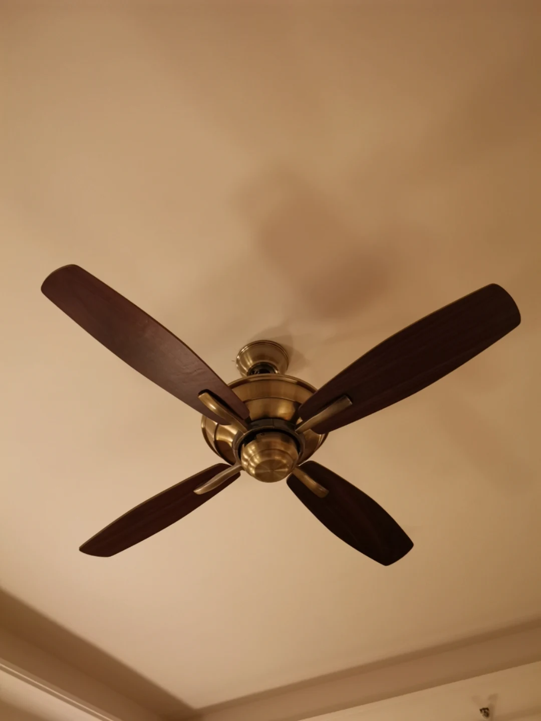 �Ҵ����꣬��æ������������³��ϣ����