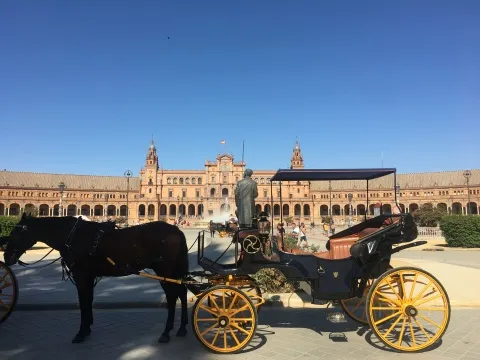 �������ǰ뵺 3300km�Լ��мǡ����η���Х������