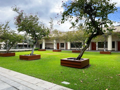 ���� | ������Hapuna Westin��������˹͡�ȼٴ塾�����ͷ���