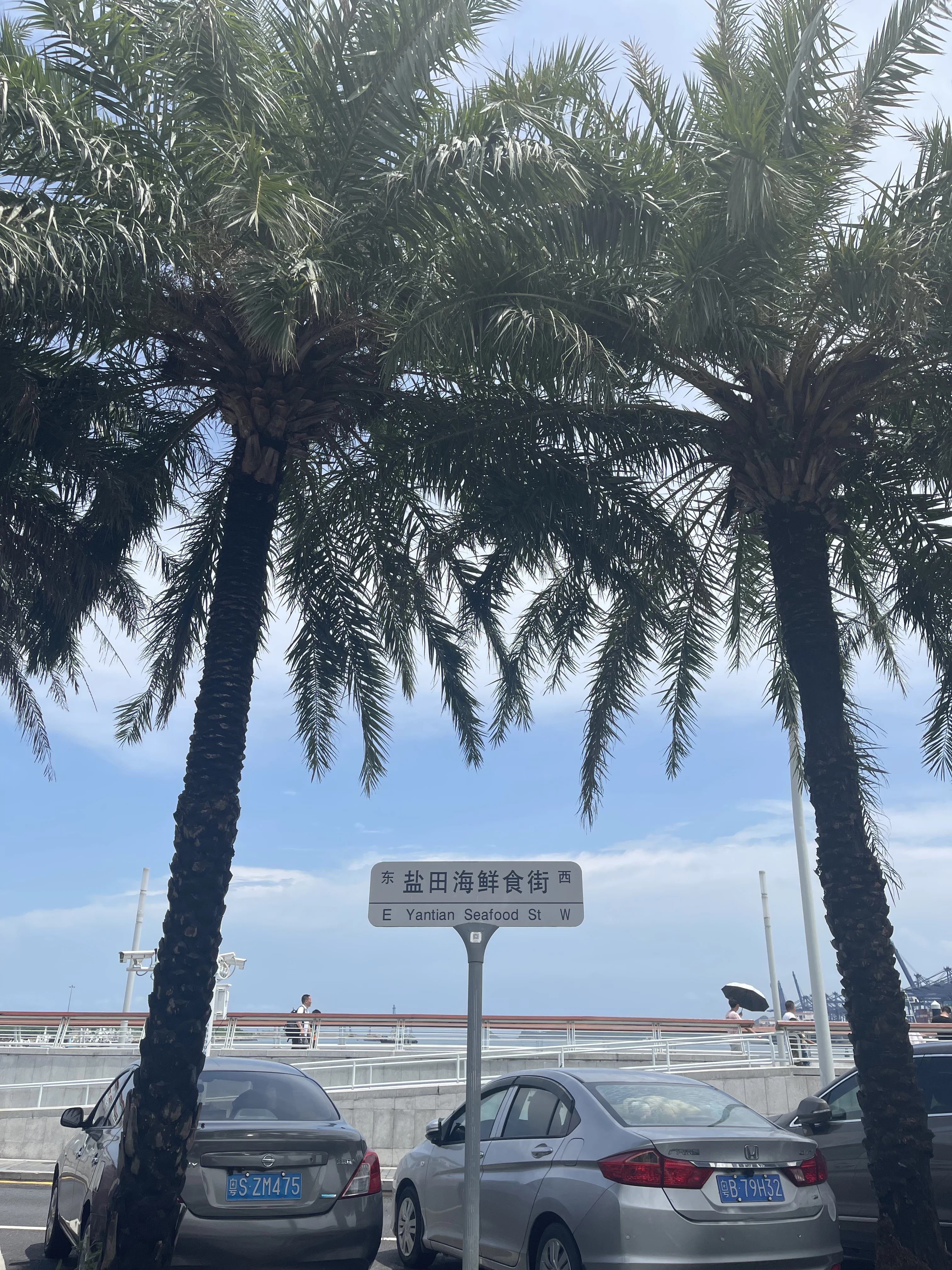 ���������޼��콢��23���24�����ڴ�÷ɳ�����޼ʶȼپƵ��������ֲ�����˫����
