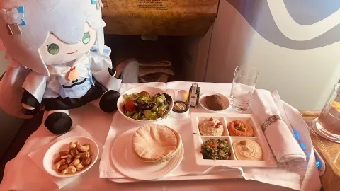 ��Ү��������ϲ����A380 EK201 DXB-JFK �����