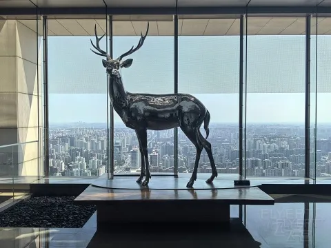 һƪ�������ã�Hyatt�� -2024���þƵ꼯�����Ź���