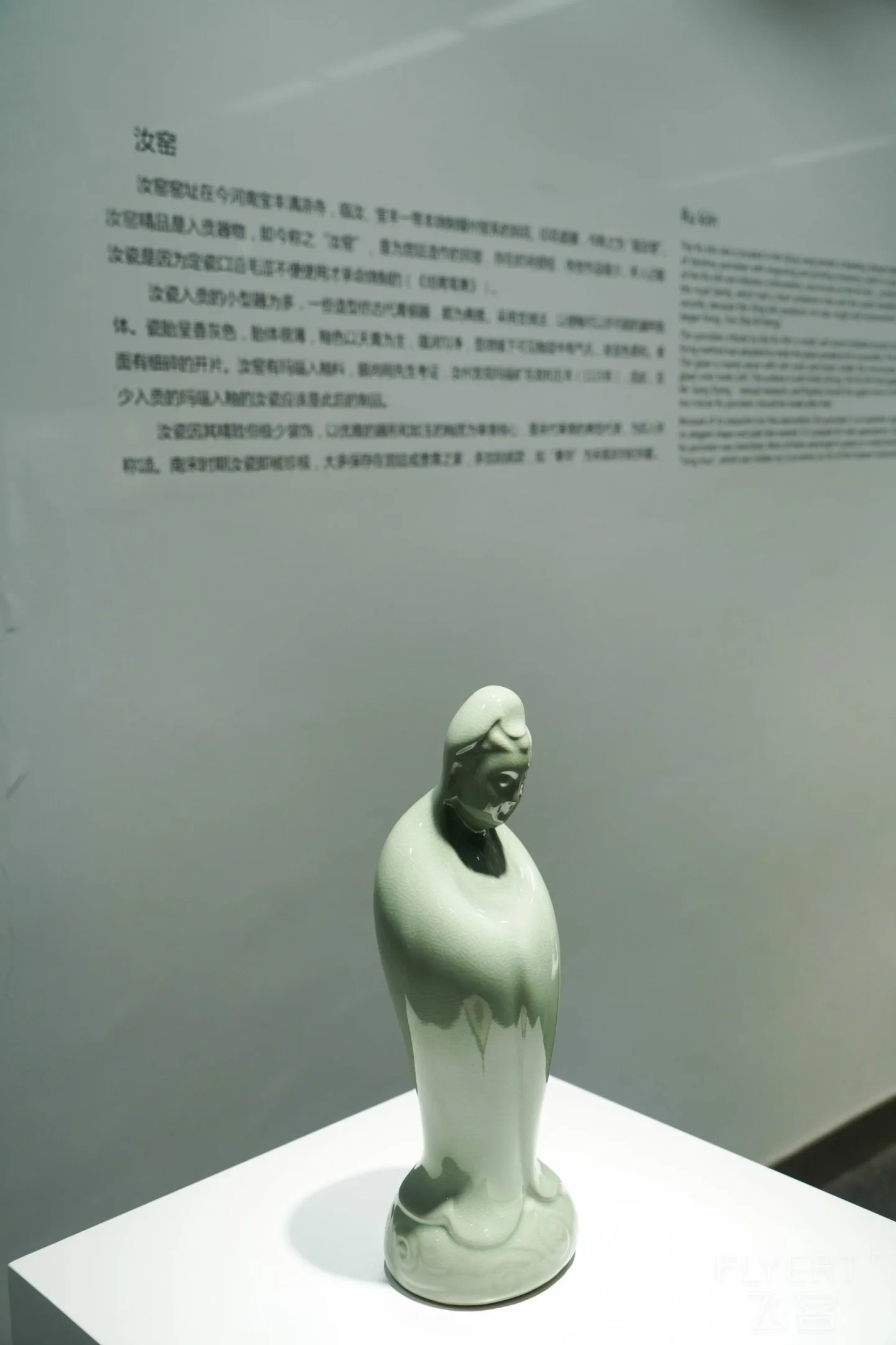 DSC00065.jpg
