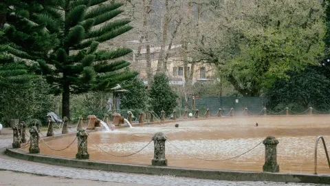 ��ɽ����˽����Ȫ��԰�֣����ٶ�Ⱥ���ȼ�֮ Terra Nostra Garden Hotel, Furnas Azore ...