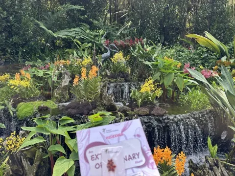 ס�����������JEN�����¼���ֲ��԰����֮Լ-JEN Singapore Tanglin by Shangri-La