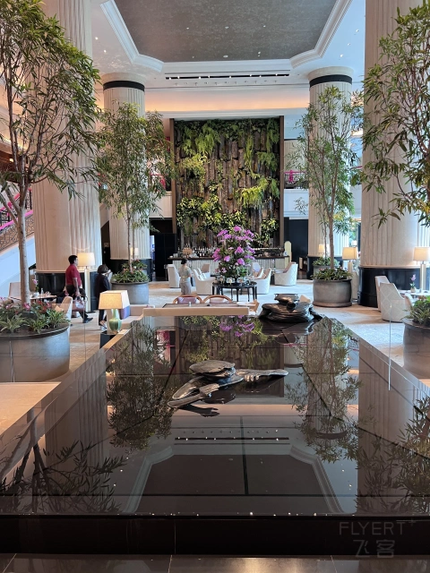 📍ȫ���һ������������¼������������Ƶ�🇸🇬