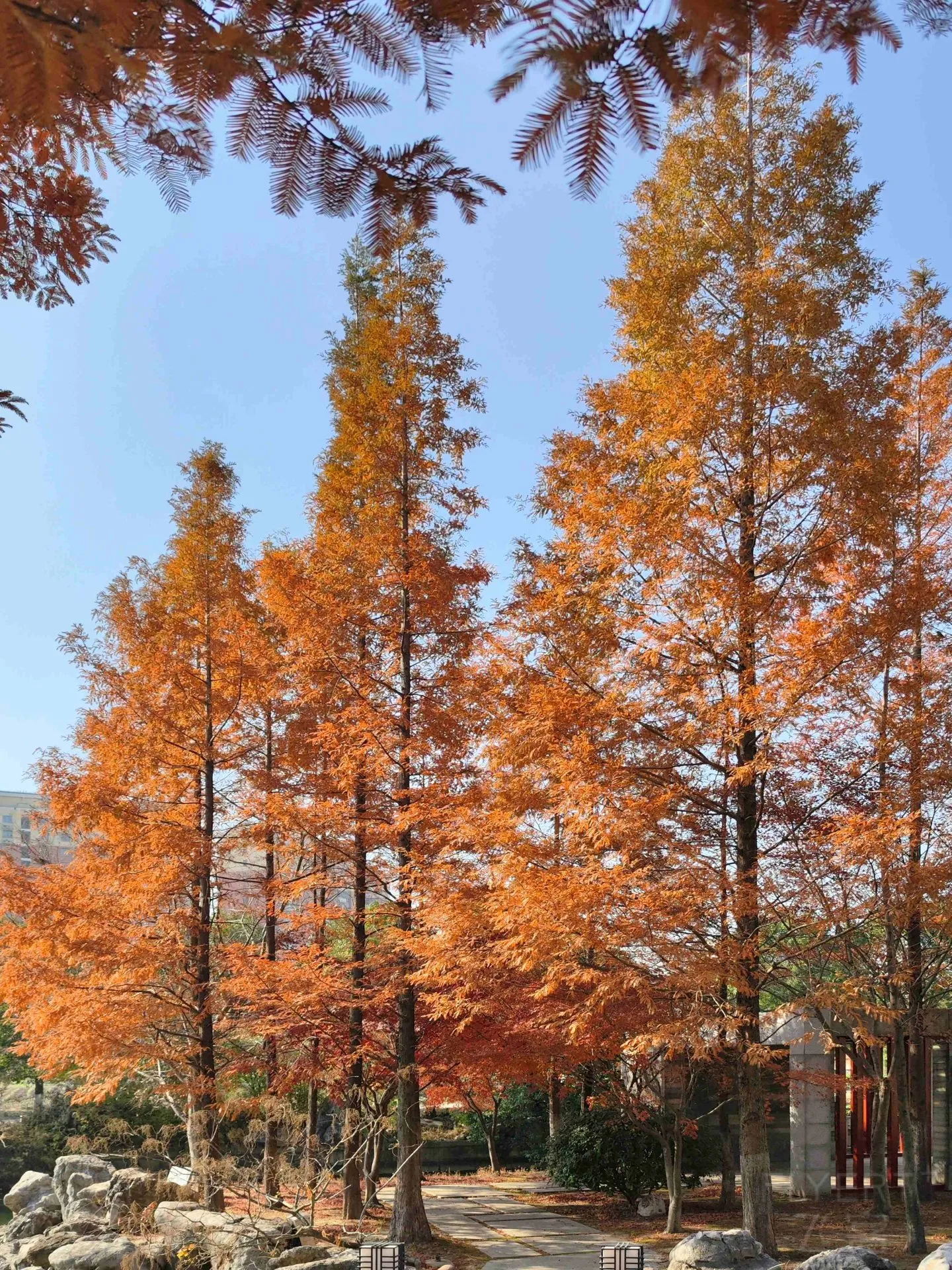 180903R7xiR4v9nN1Bsd1M.jpg