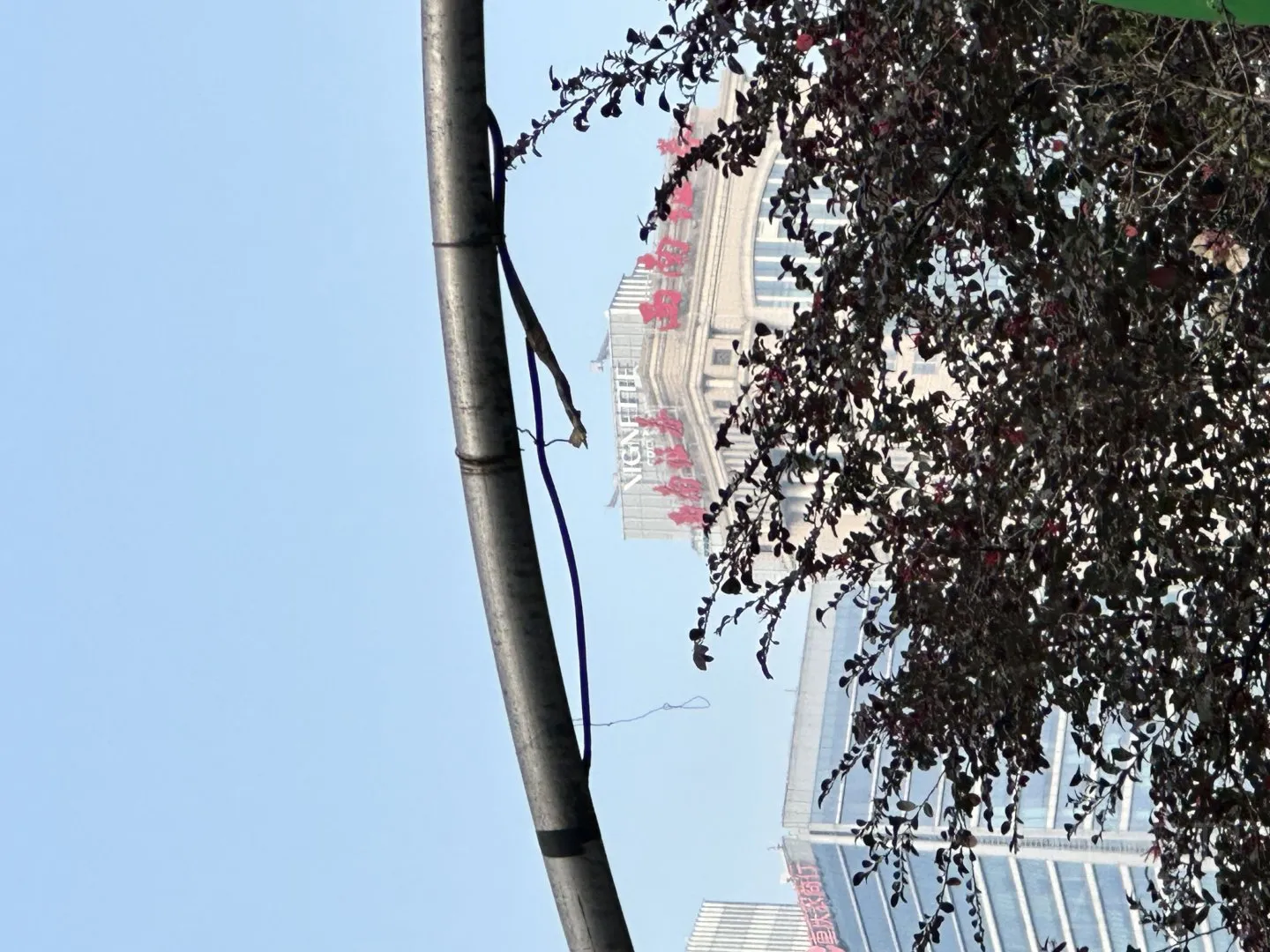 微信图片_20251208235245_129_1618.jpg