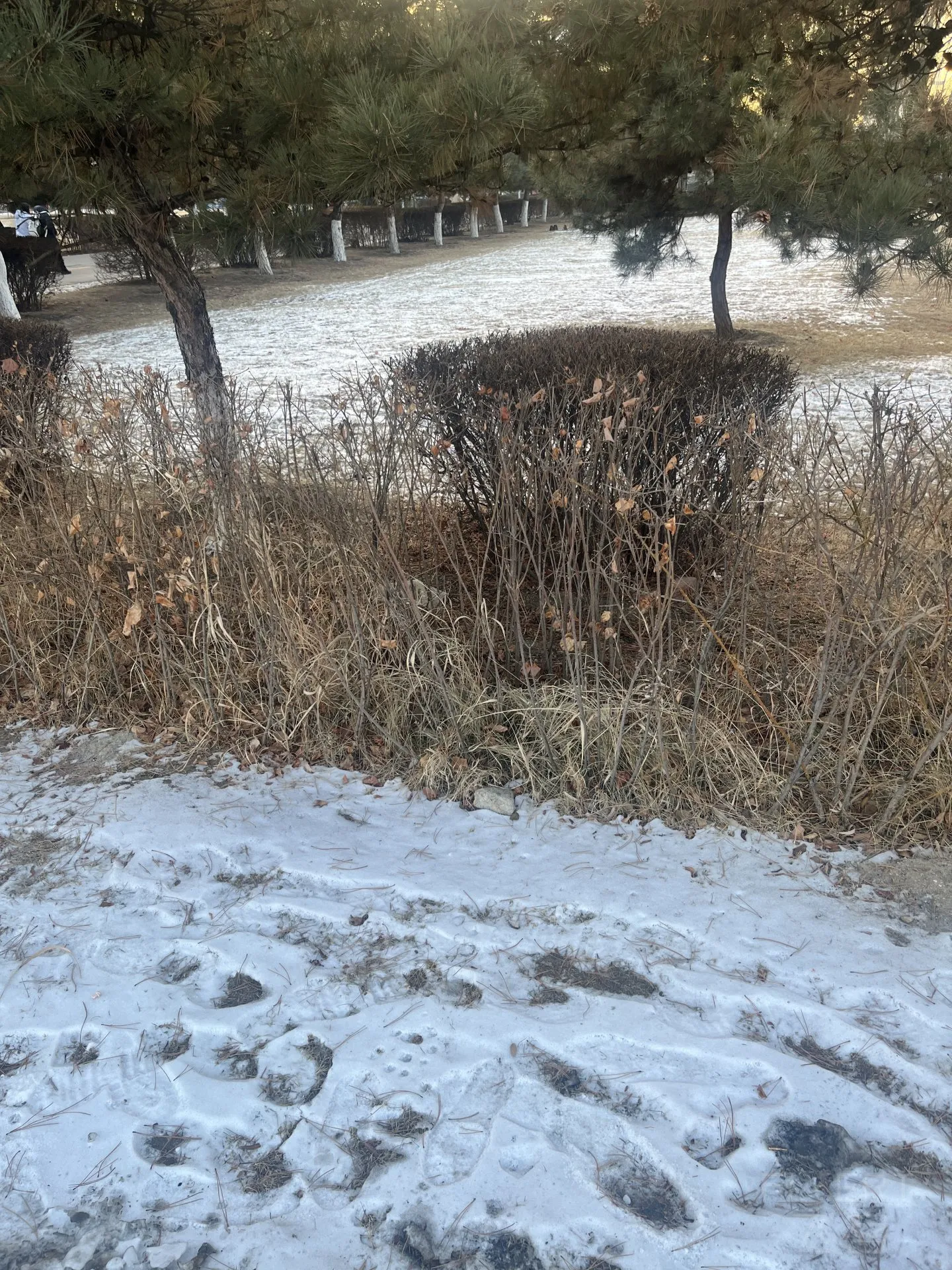083353PYNQYHQTKFGBTNTX.png