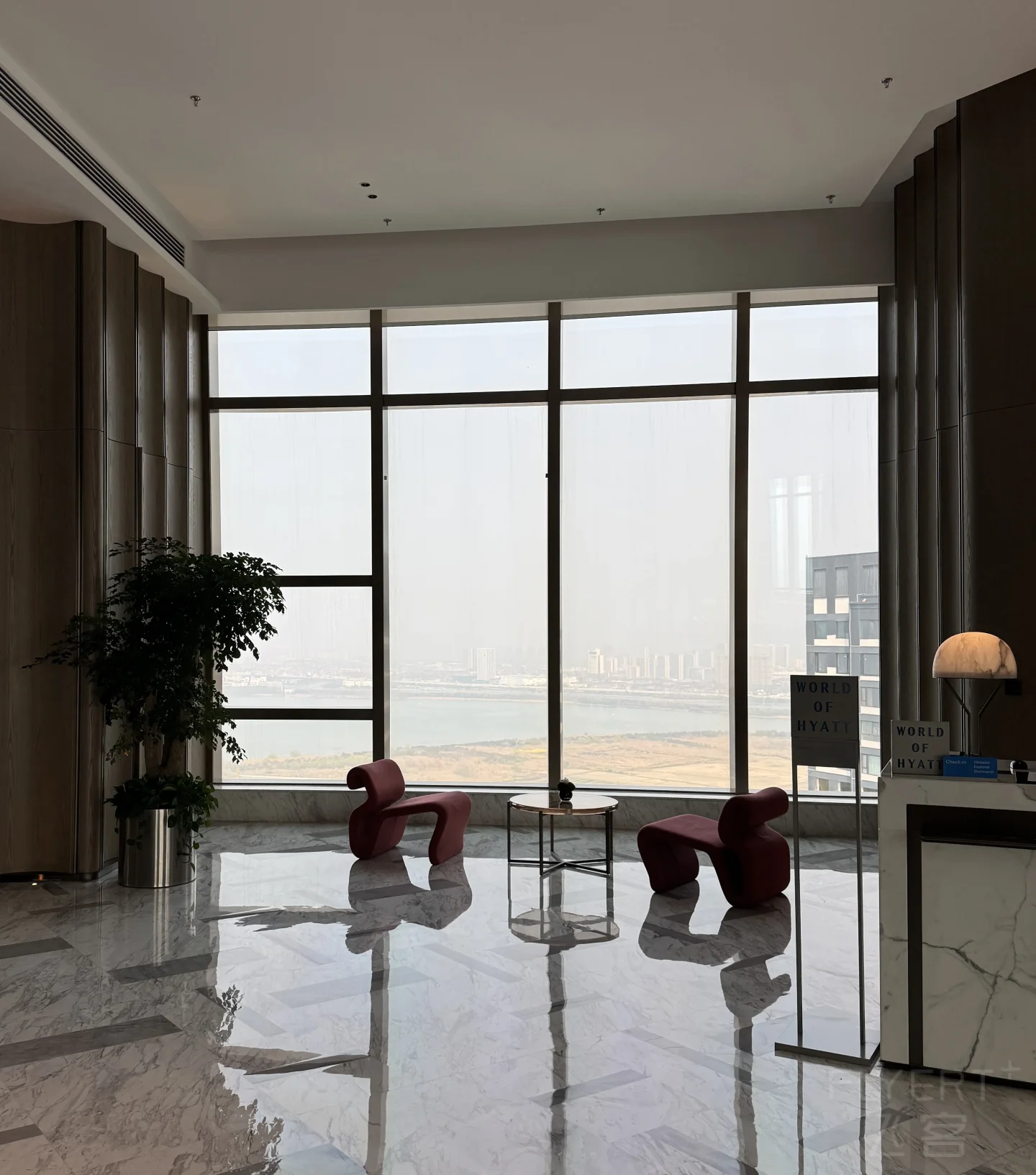 170452OXSQSDLOTUCANEGM.jpg