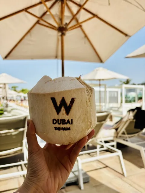 �ϰ���鵵�W�Ƶ꣨W Dubai - The Palm������׷���ס����