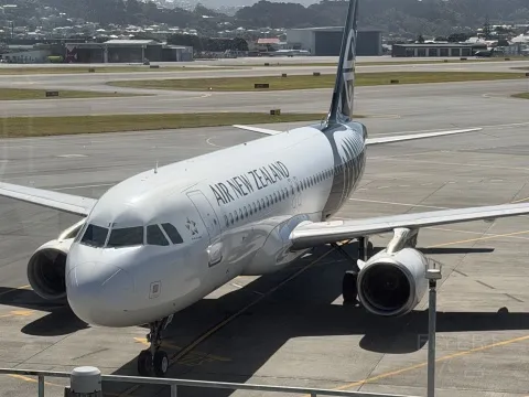 ά��ŵ�����ͣ�NZ440:�����-�¿�����Բ�γ���ħ��ɫ�ʵġ����޻�����