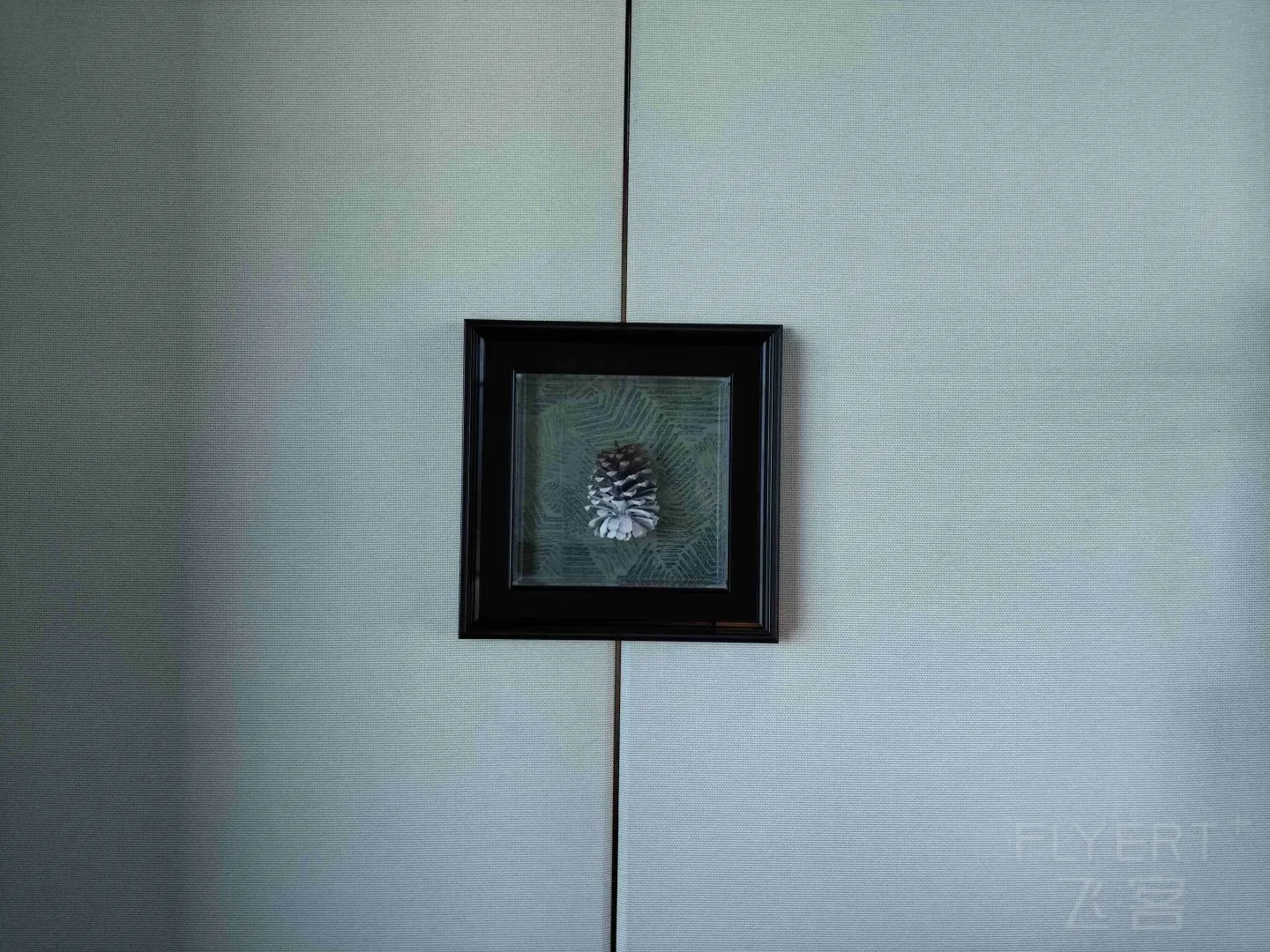 165210QKSO7pX6Vi7LsIll.jpg
