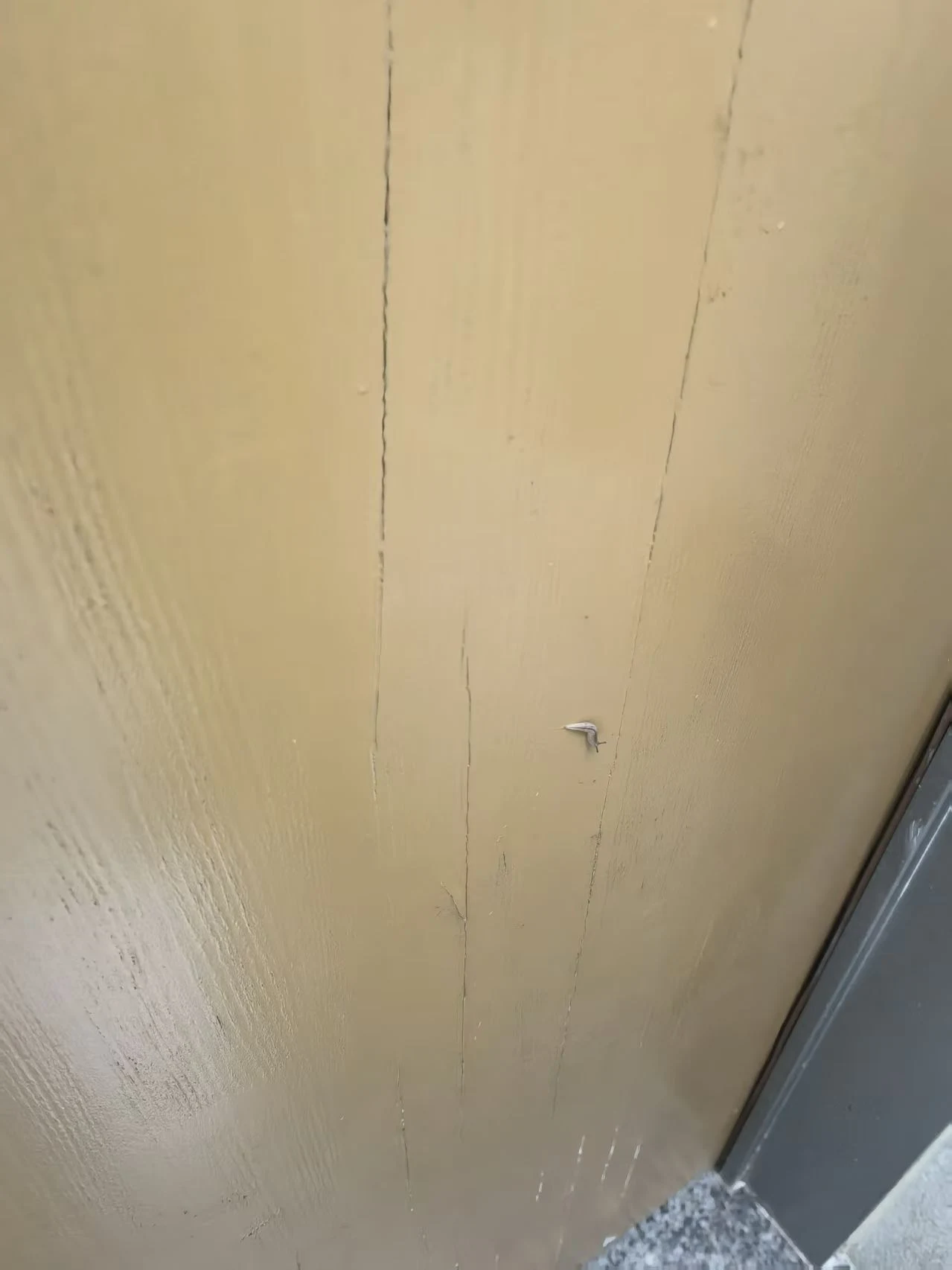 ����������ȷʵ�д�������