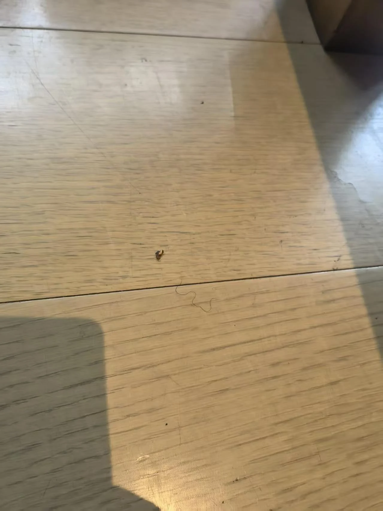 ����������ȷʵ�д�������