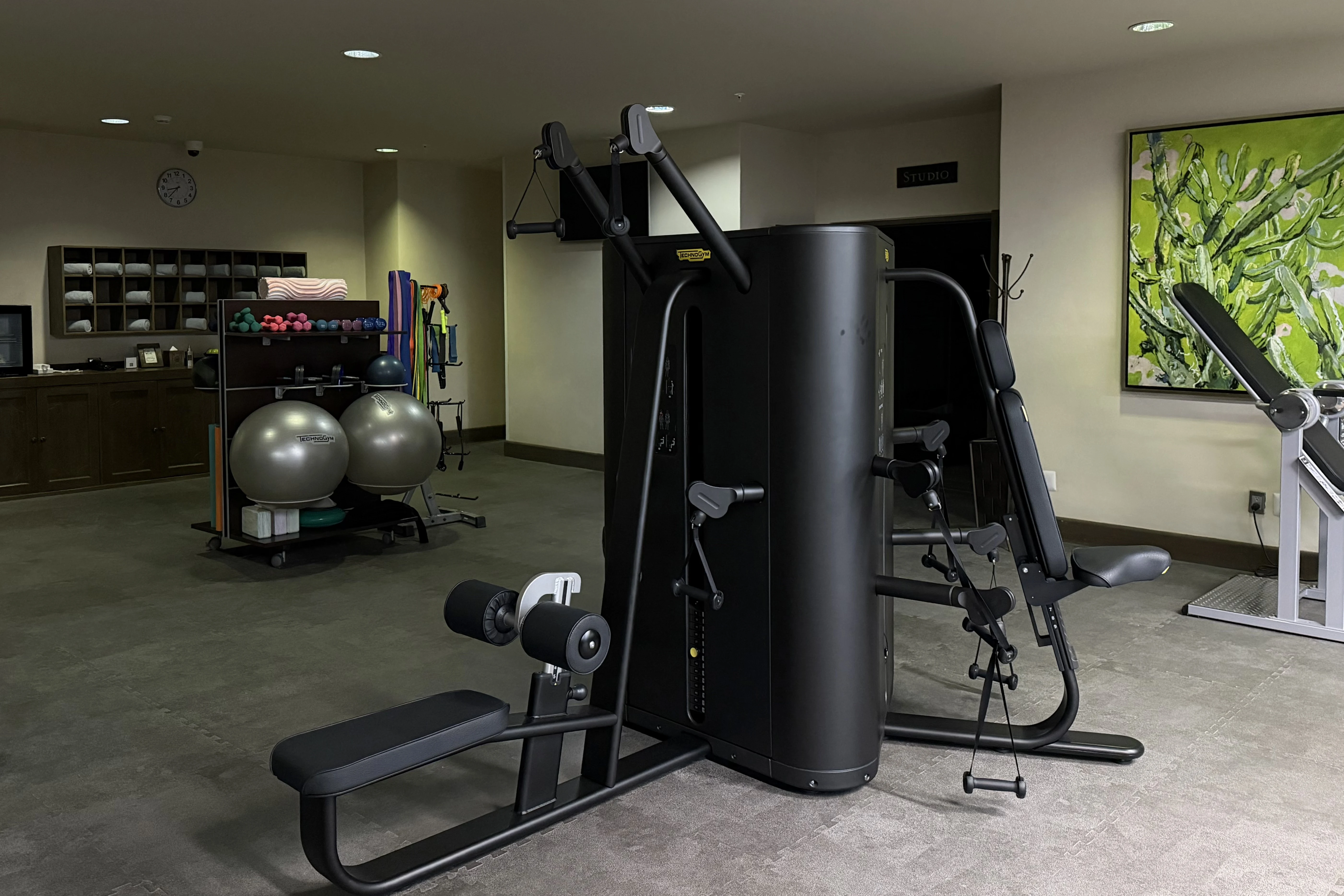 �����Ķ�ͼ��ī����ʥ�׸�����������ף���ʹ֮������ŷ�ɫׯ԰ ����ʥ�׸�����ε£�