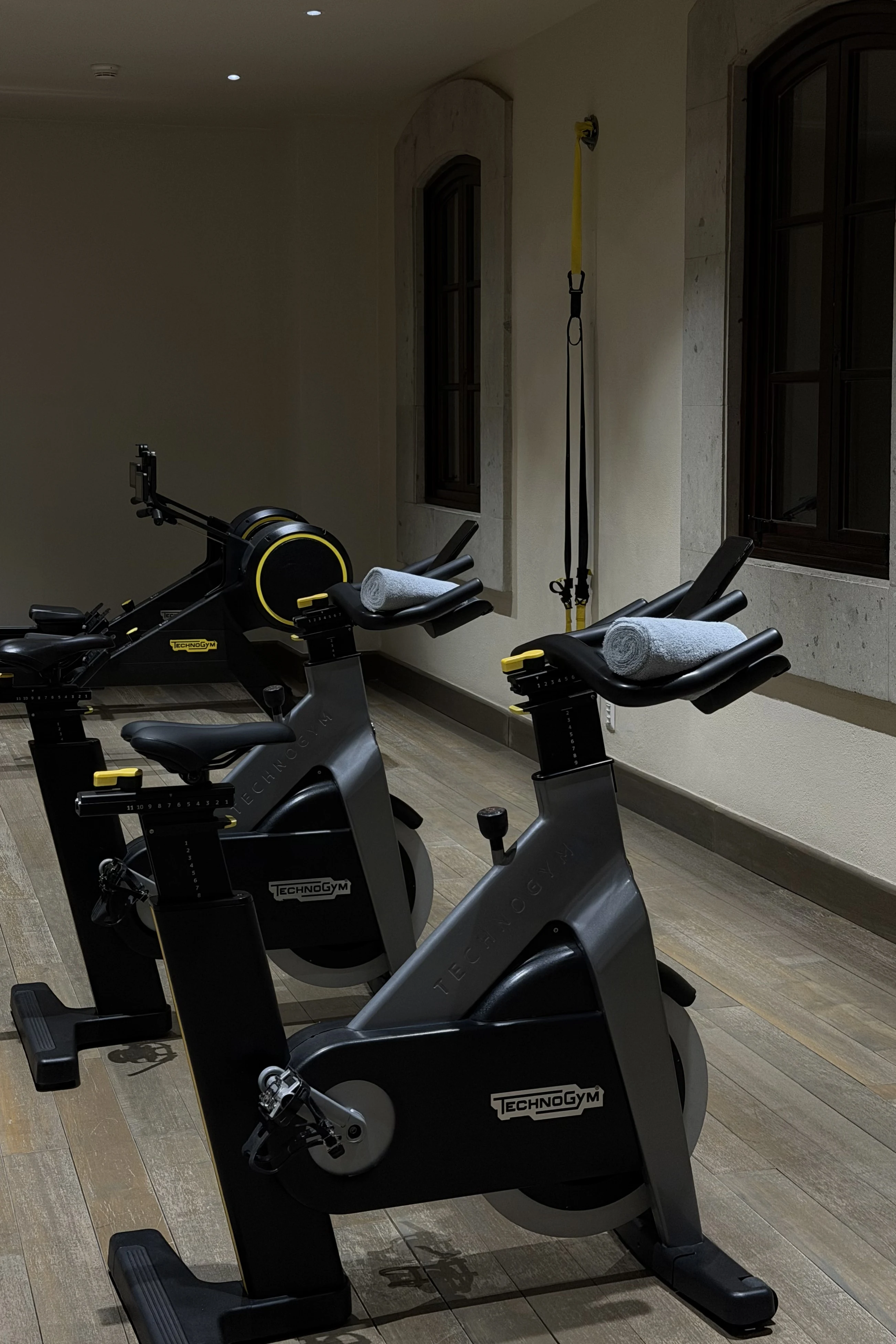 �����Ķ�ͼ��ī����ʥ�׸�����������ף���ʹ֮������ŷ�ɫׯ԰ ����ʥ�׸�����ε£�