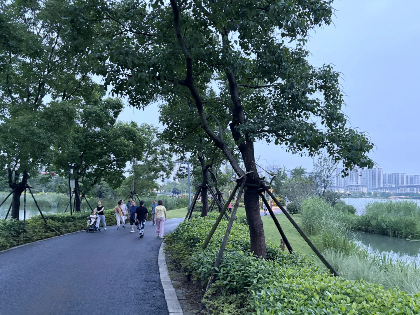 IMG_20260705_193623.jpg
