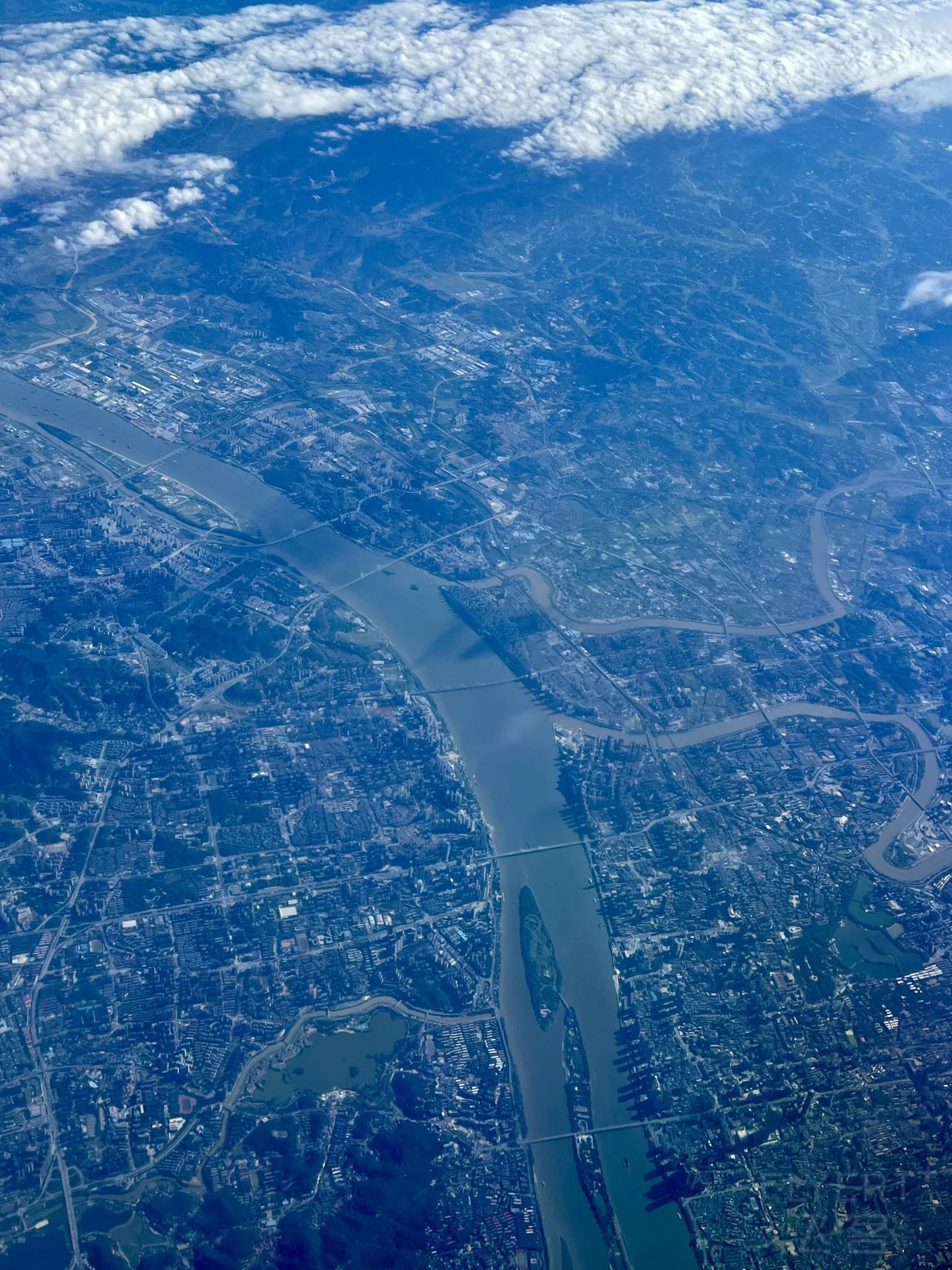 104218CFLWVARYFEFPRKKS.jpg