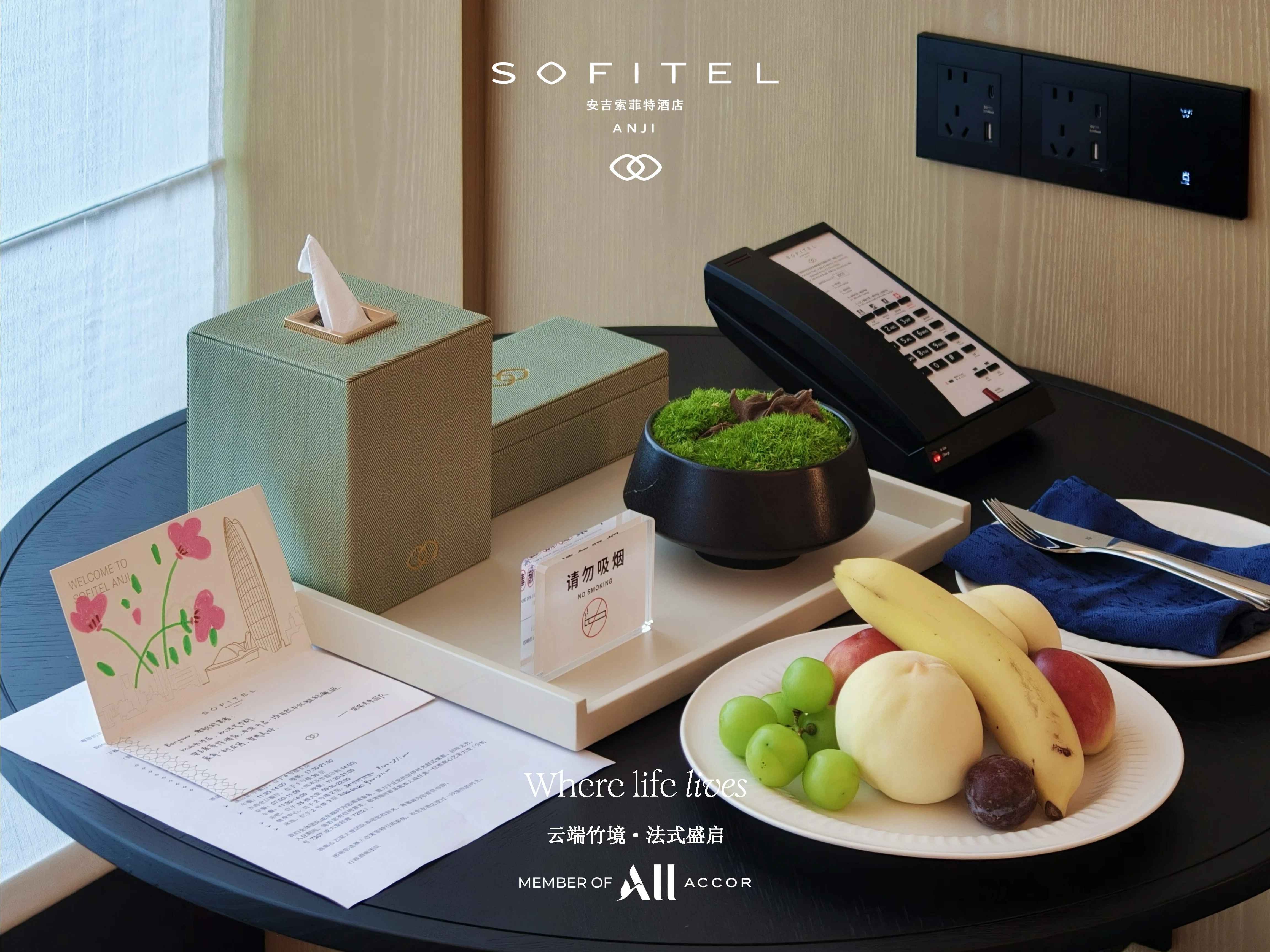 ��ɽ�ƺ�ʤ�� ���編ʽ�ݾ� @Sofitel Anji ���������ؾƵ�