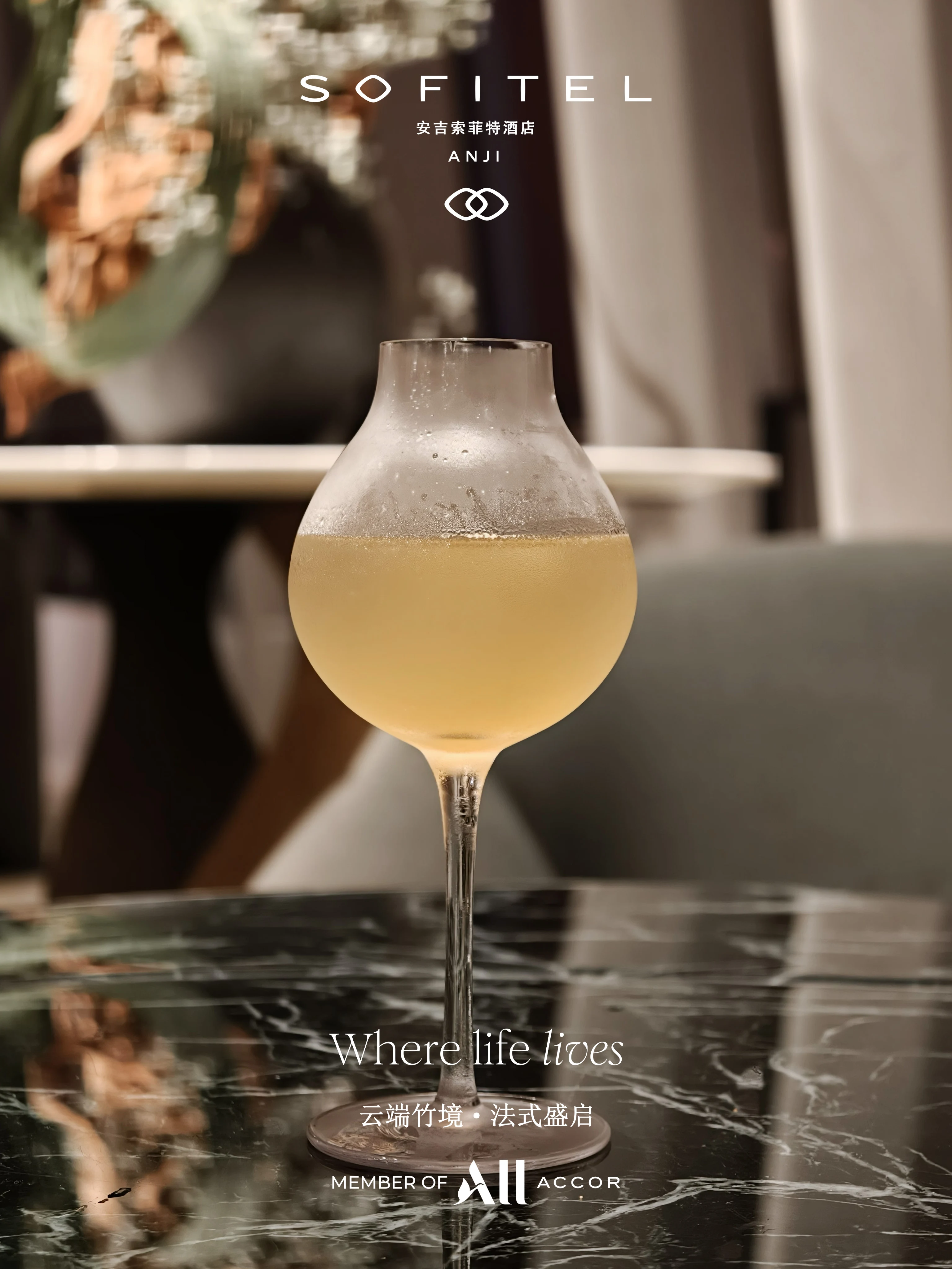��ɽ�ƺ�ʤ�� ���編ʽ�ݾ� @Sofitel Anji ���������ؾƵ�