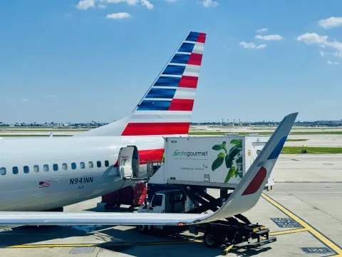 �������� AA3175 ֥�Ӹ�ºڶ� - �������� ͷ�Ȳշ�������