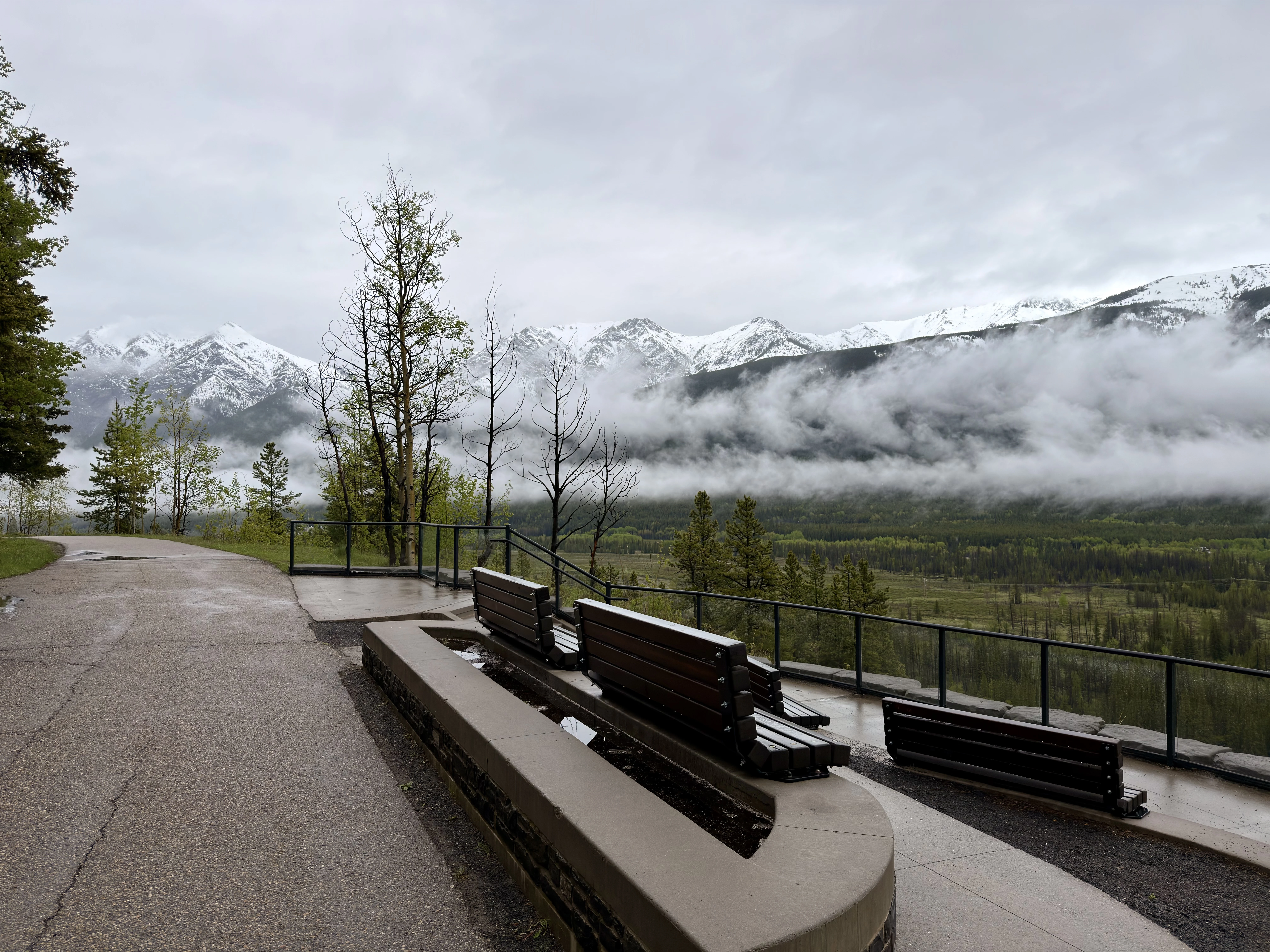 Ⱥɽ���ư�;�� G7��������ѡ��🇨🇦 Kananaskis Mountain Lodge ��ʽ�׷�һ����ƽ��