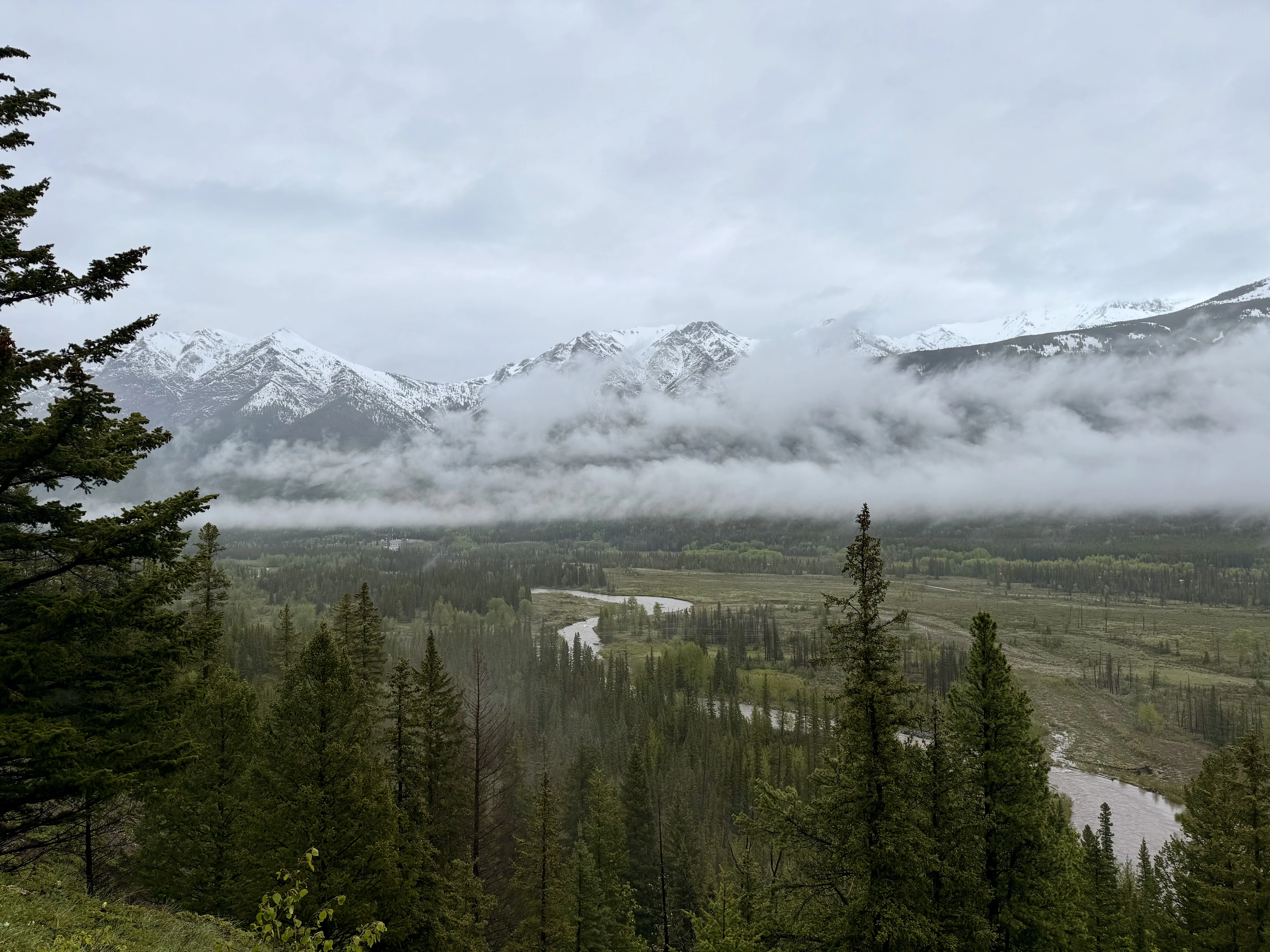 Ⱥɽ���ư�;�� G7��������ѡ��🇨🇦 Kananaskis Mountain Lodge ��ʽ�׷�һ����ƽ��