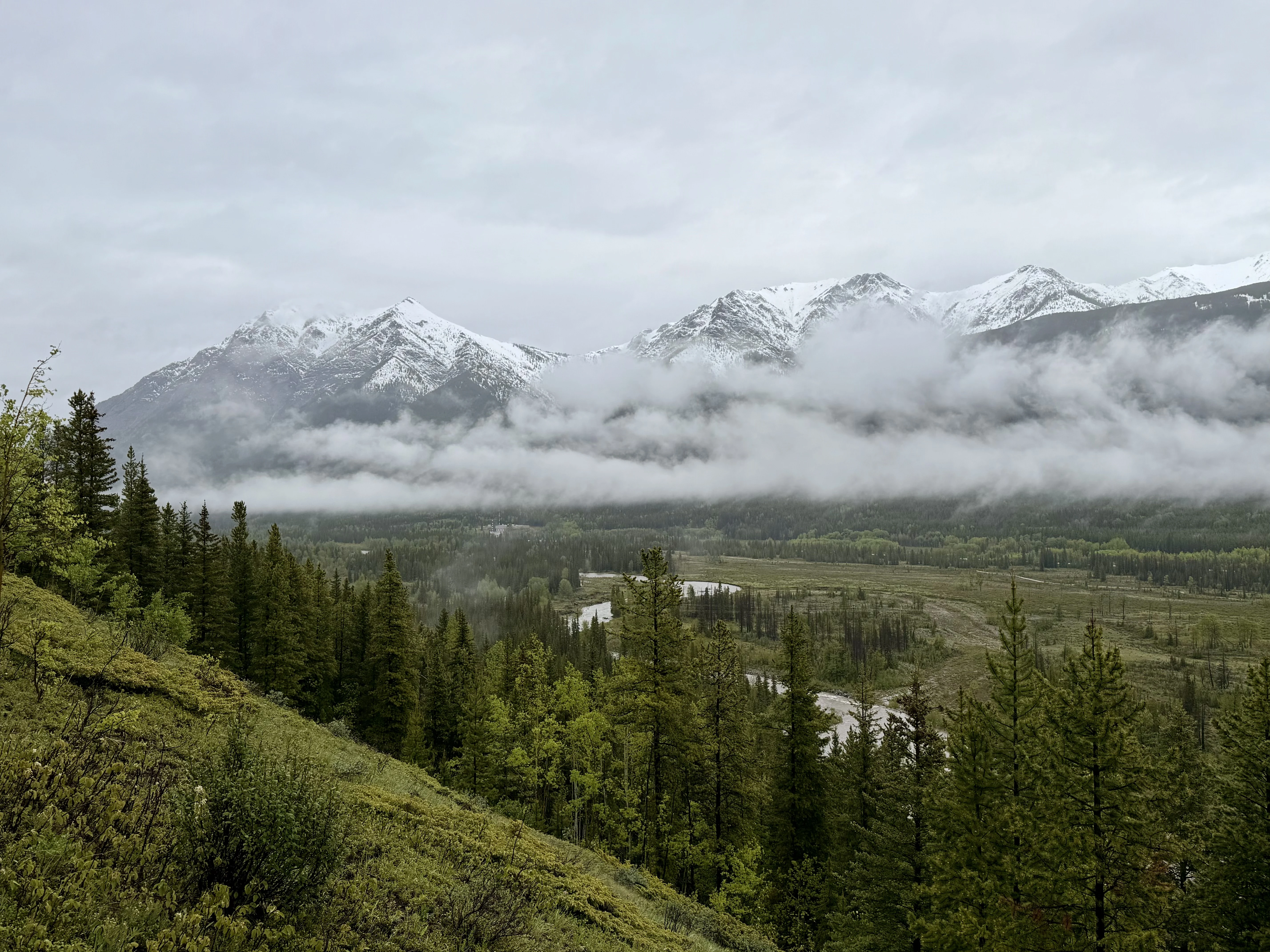 Ⱥɽ���ư�;�� G7��������ѡ��🇨🇦 Kananaskis Mountain Lodge ��ʽ�׷�һ����ƽ��