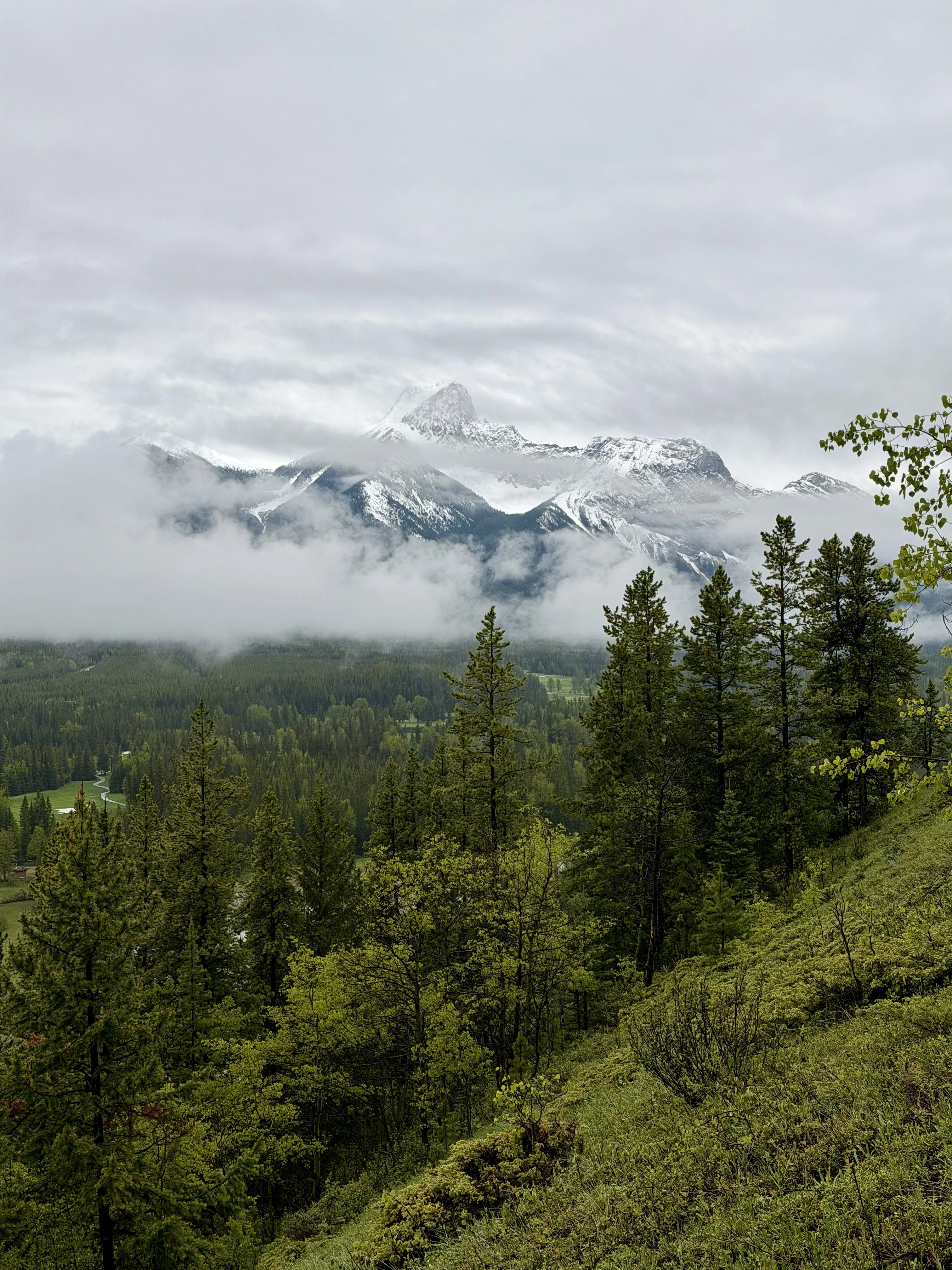 Ⱥɽ���ư�;�� G7��������ѡ��🇨🇦 Kananaskis Mountain Lodge ��ʽ�׷�һ����ƽ��