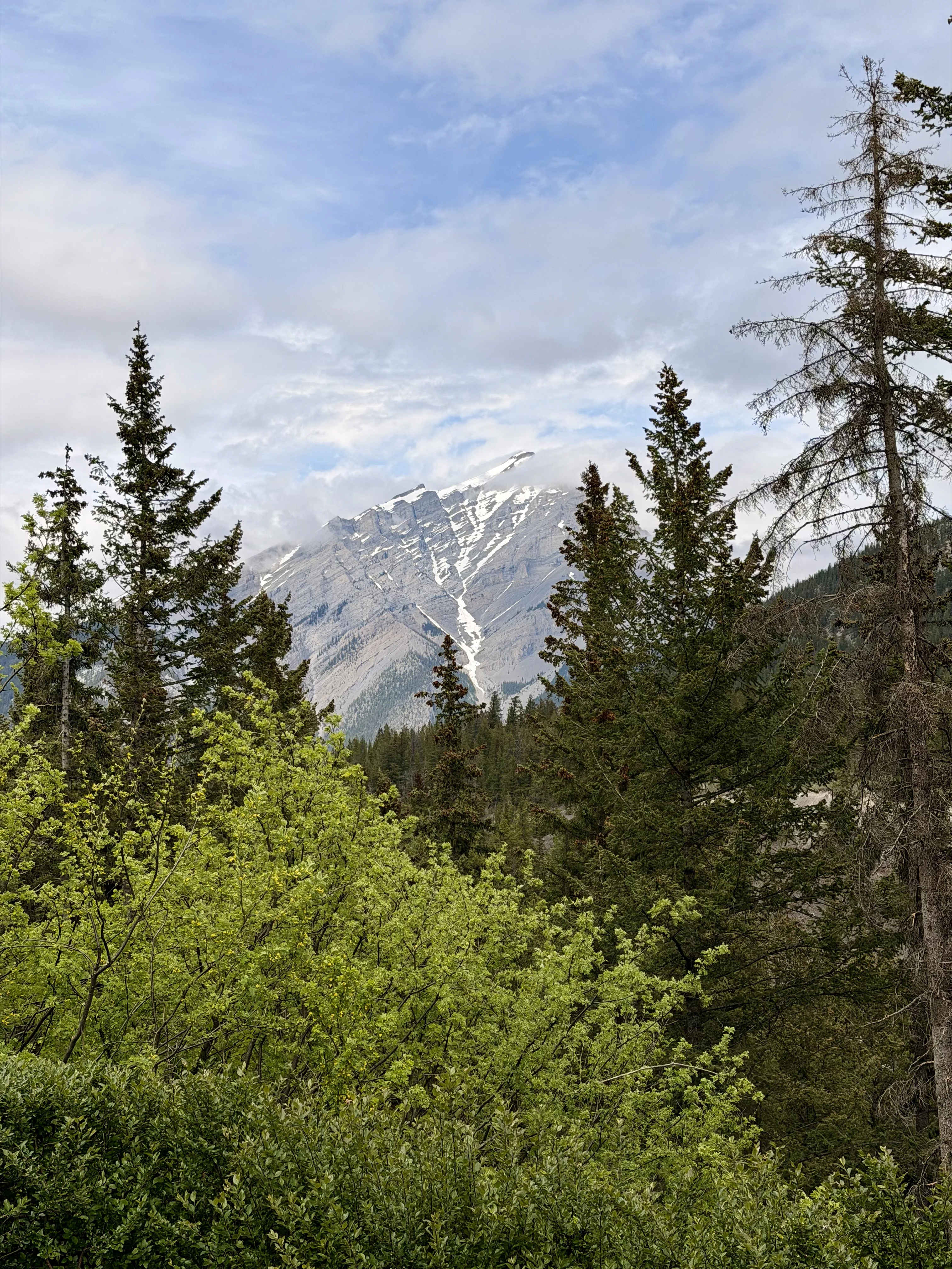 ���ɽ�Ѷ���������①�����䲻�ࡤ���Ѷ��ɳǱ� ����ͷ� Fairmont Gold Banff Springs