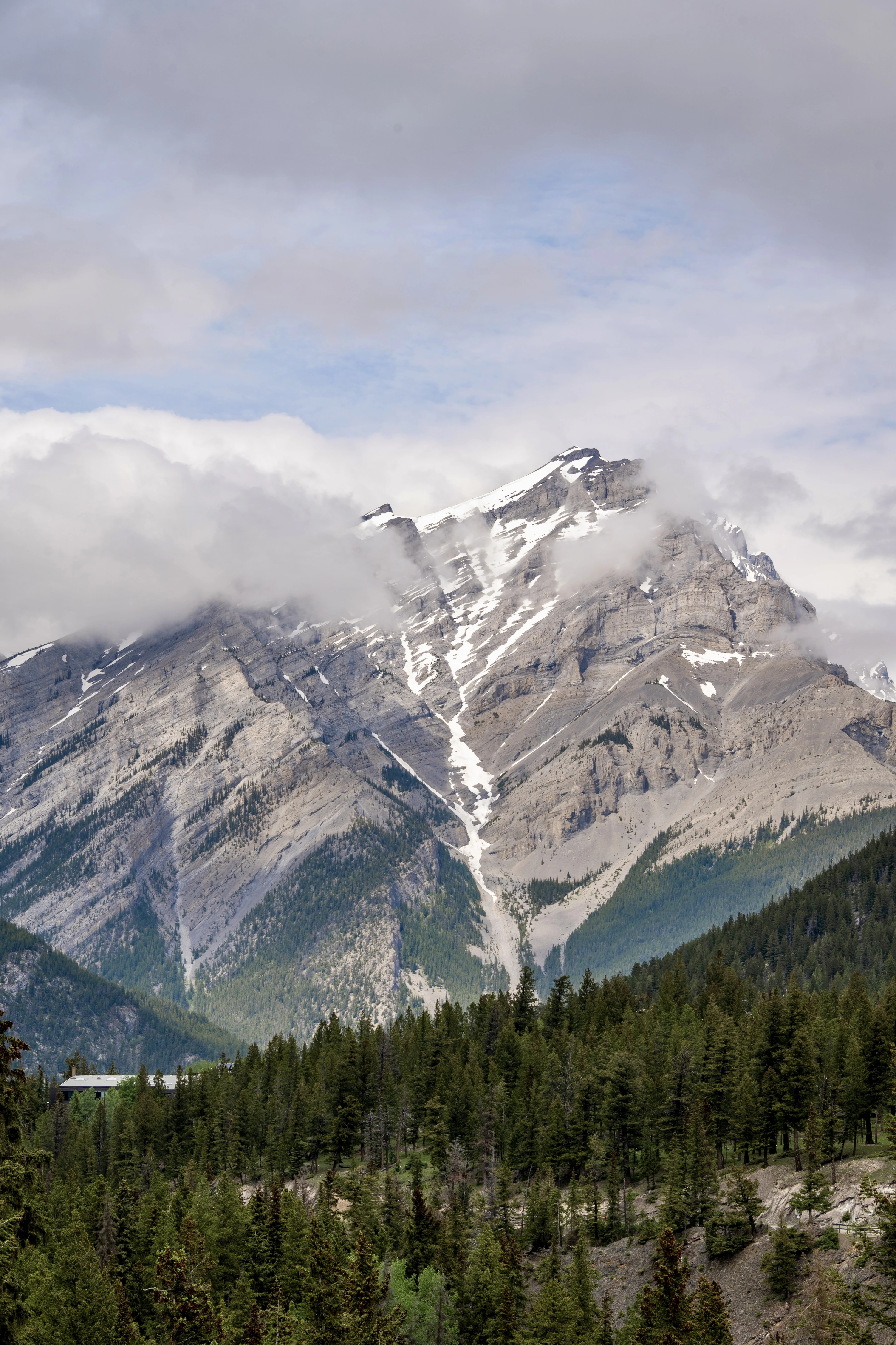 ���ɽ�Ѷ���������①�����䲻�ࡤ���Ѷ��ɳǱ� ����ͷ� Fairmont Gold Banff Springs