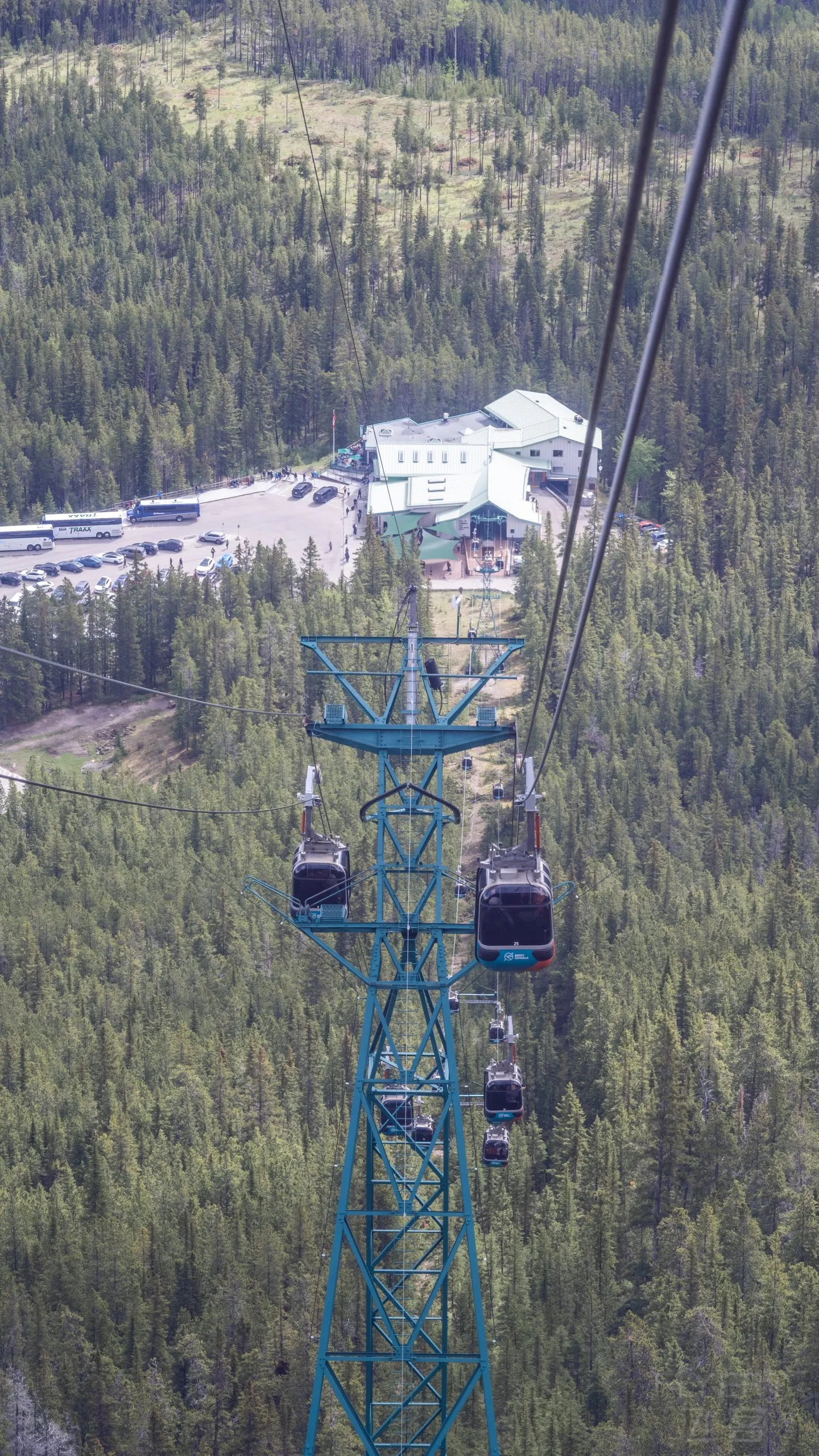 231536GOMOPRLARFDUFGJM.jpg