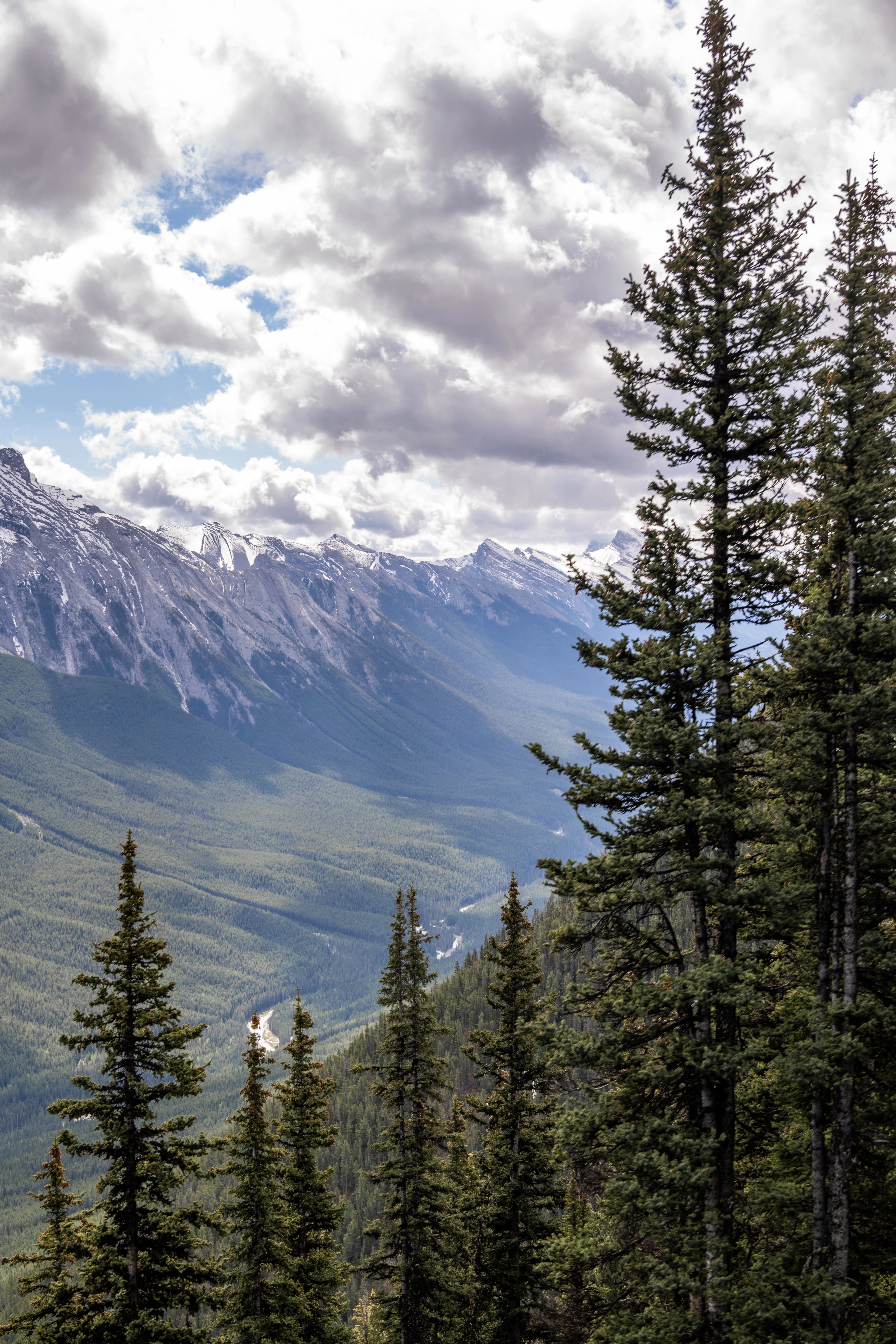 ���ɽ�Ѷ���������①�����䲻�ࡤ���Ѷ��ɳǱ� ����ͷ� Fairmont Gold Banff Springs