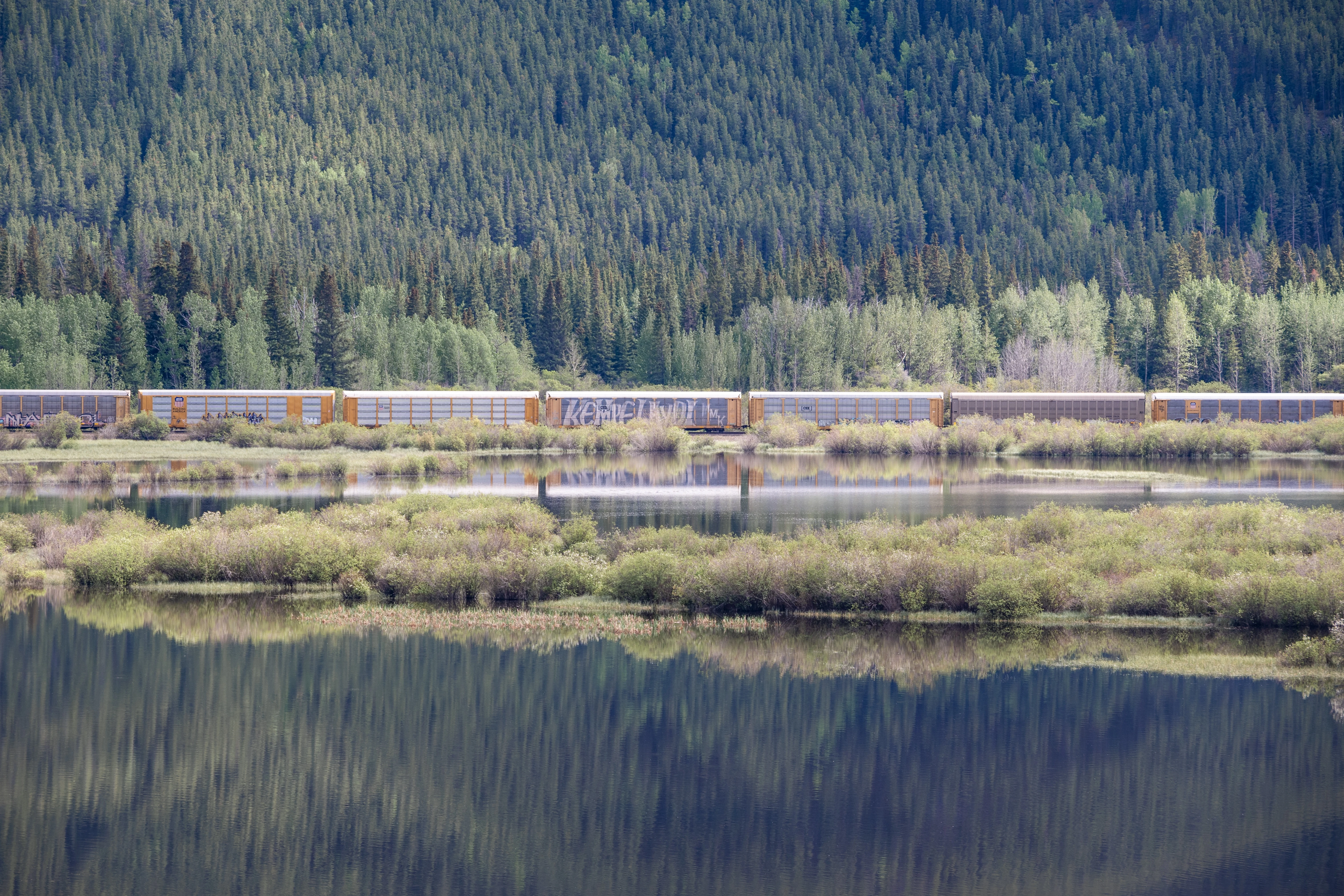 ���ɽ�Ѷ���������①�����䲻�ࡤ���Ѷ��ɳǱ� ����ͷ� Fairmont Gold Banff Springs