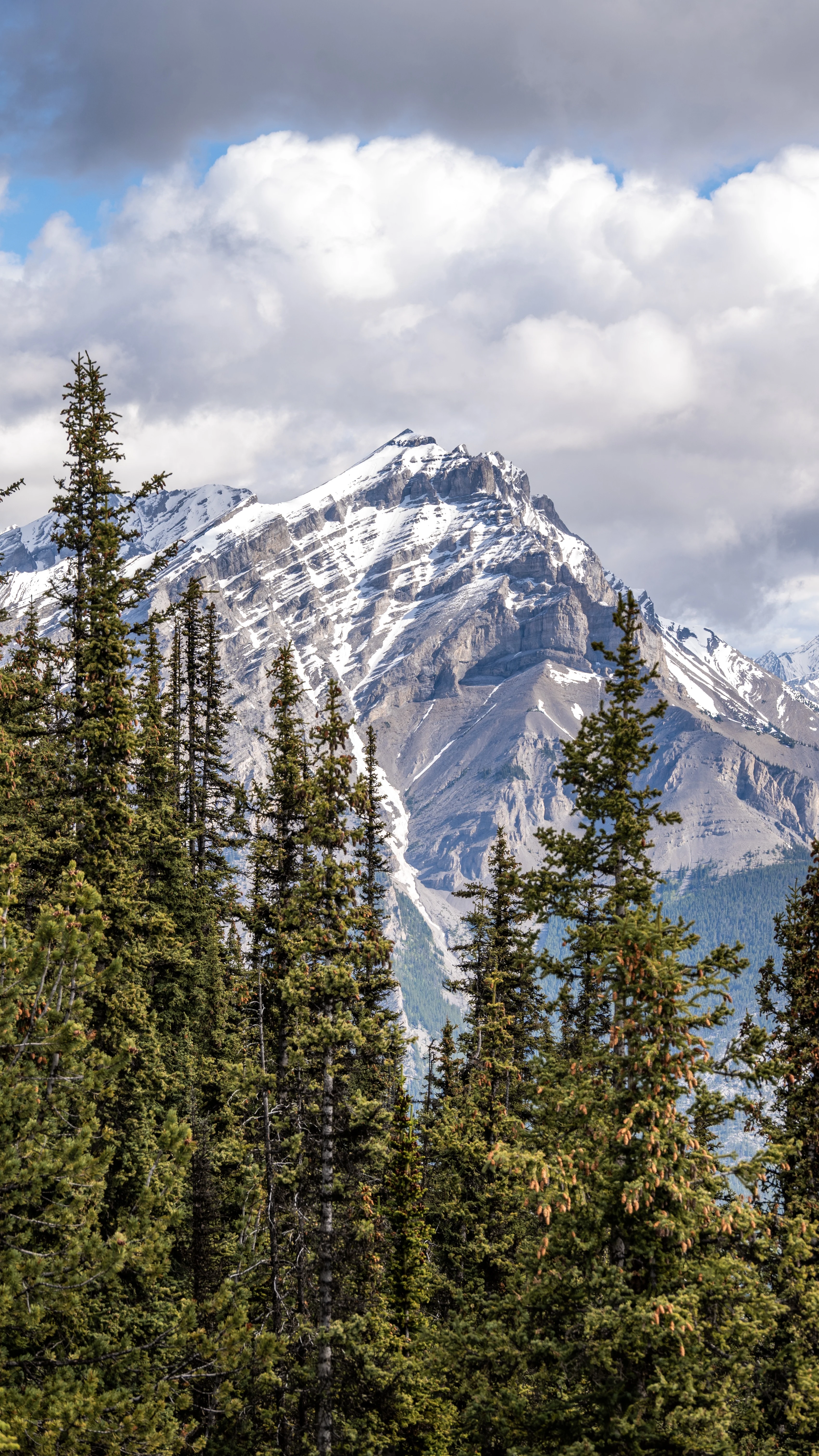 ���ɽ�Ѷ���������①�����䲻�ࡤ���Ѷ��ɳǱ� ����ͷ� Fairmont Gold Banff Springs