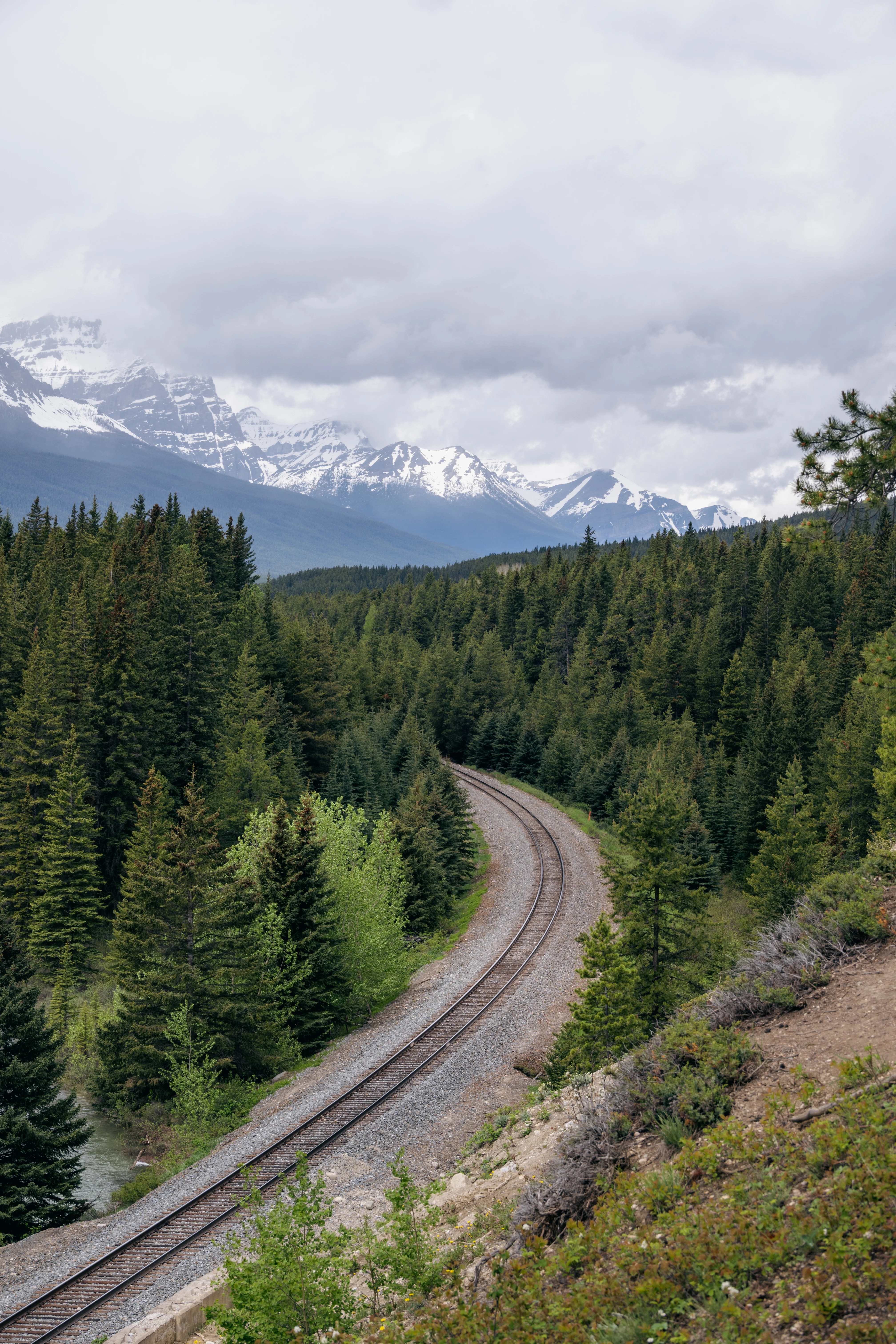 ���ɽ�Ѷ���������①�����䲻�ࡤ���Ѷ��ɳǱ� ����ͷ� Fairmont Gold Banff Springs