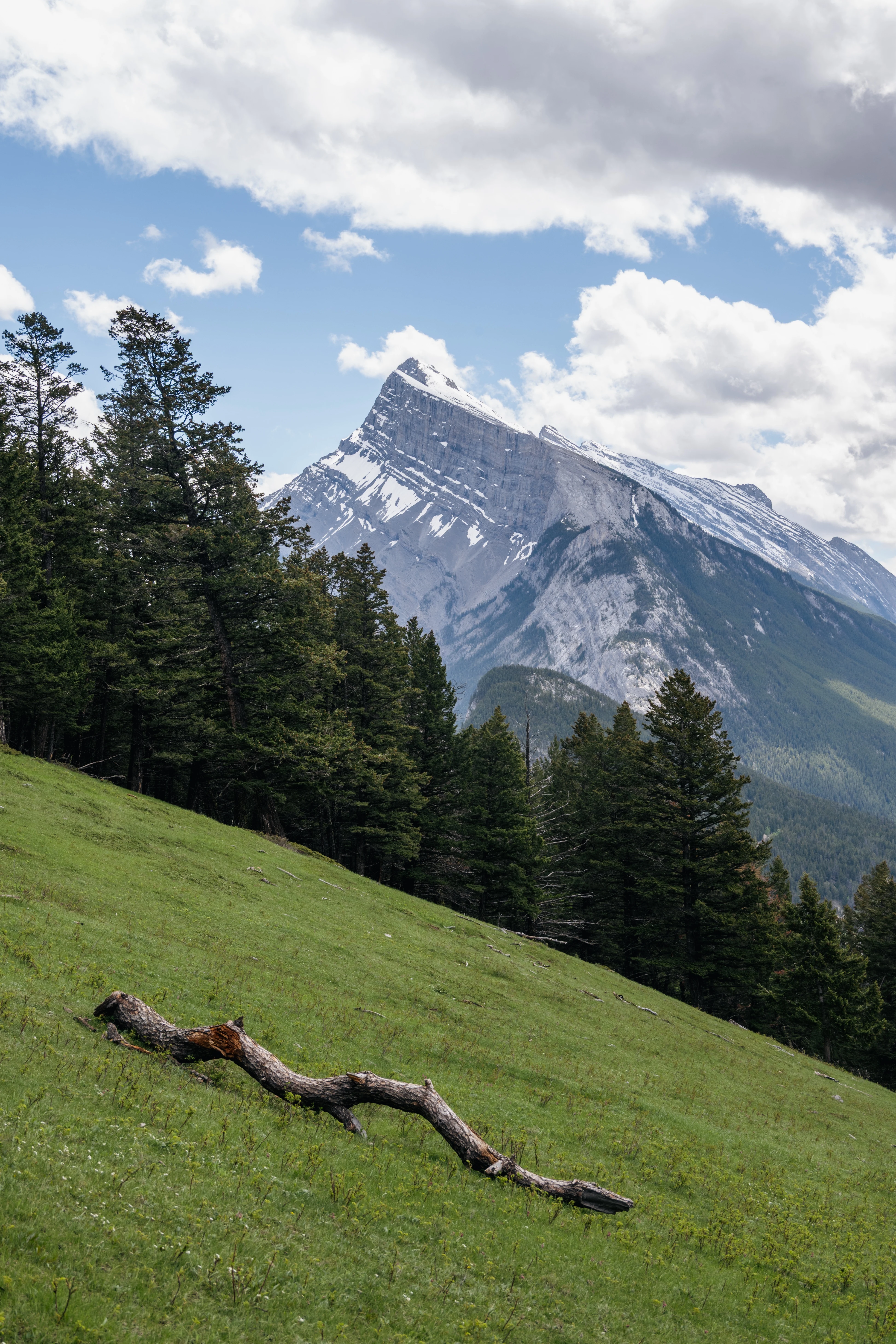 ���ɽ�Ѷ���������①�����䲻�ࡤ���Ѷ��ɳǱ� ����ͷ� Fairmont Gold Banff Springs