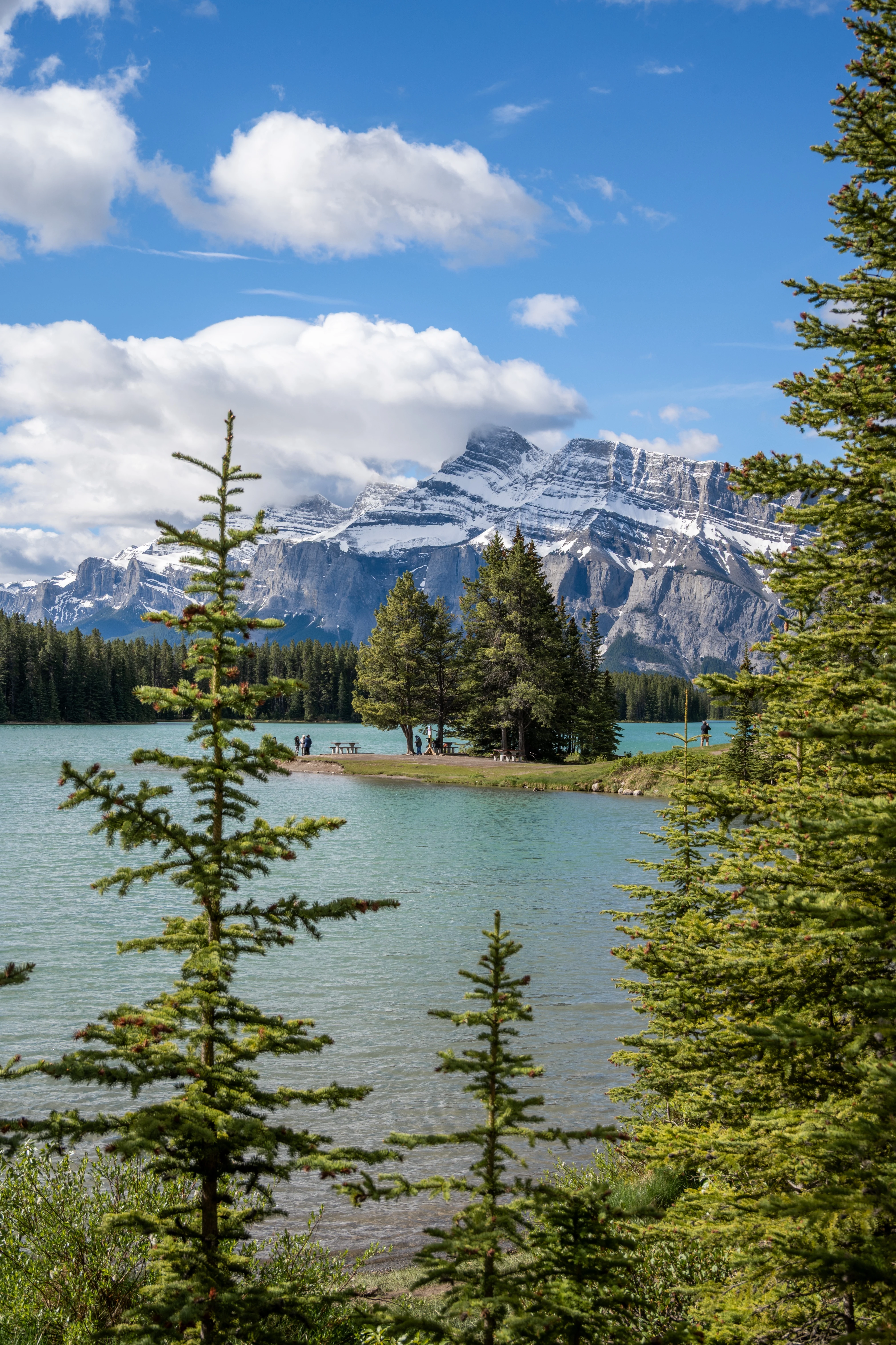 ���ɽ�Ѷ���������①�����䲻�ࡤ���Ѷ��ɳǱ� ����ͷ� Fairmont Gold Banff Springs